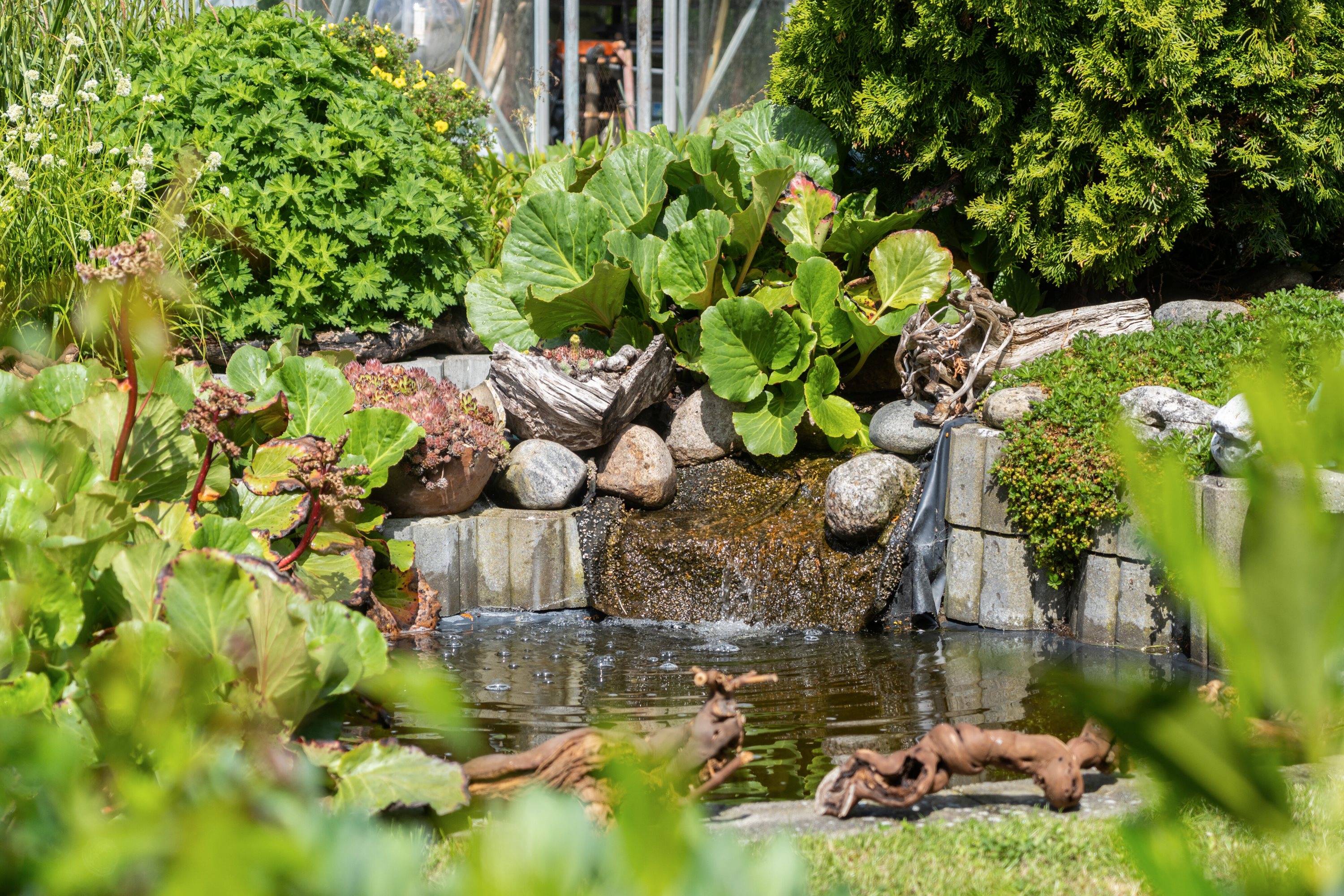 Fremhævet have billede i fuldskærmstilstand. Billede af Rødhøjvej 8, Svenstrup, 4220 Korsør