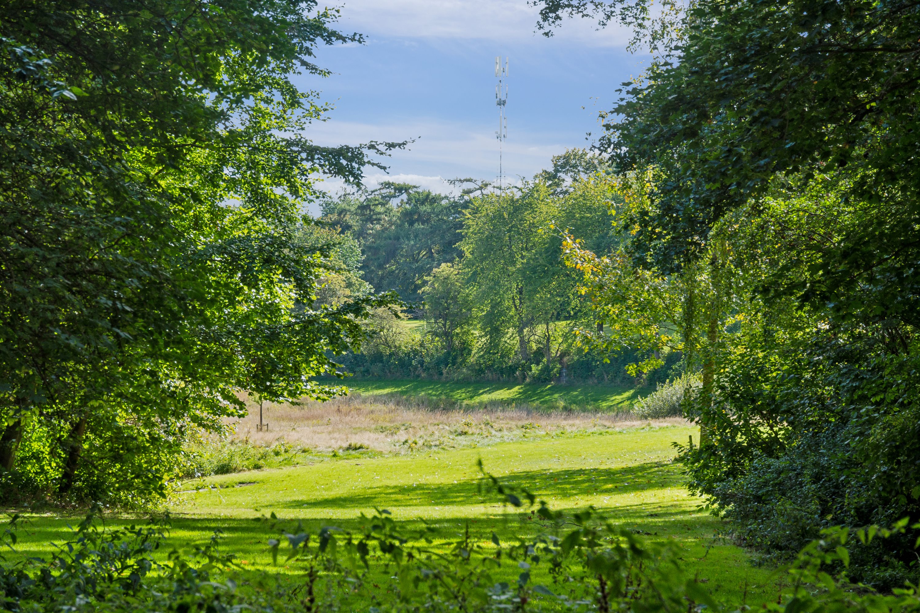 Fremhævet "smørhullet" billede i fuldskærmstilstand. Billede af Tordenskjoldsvej 13, 3000 Helsingør