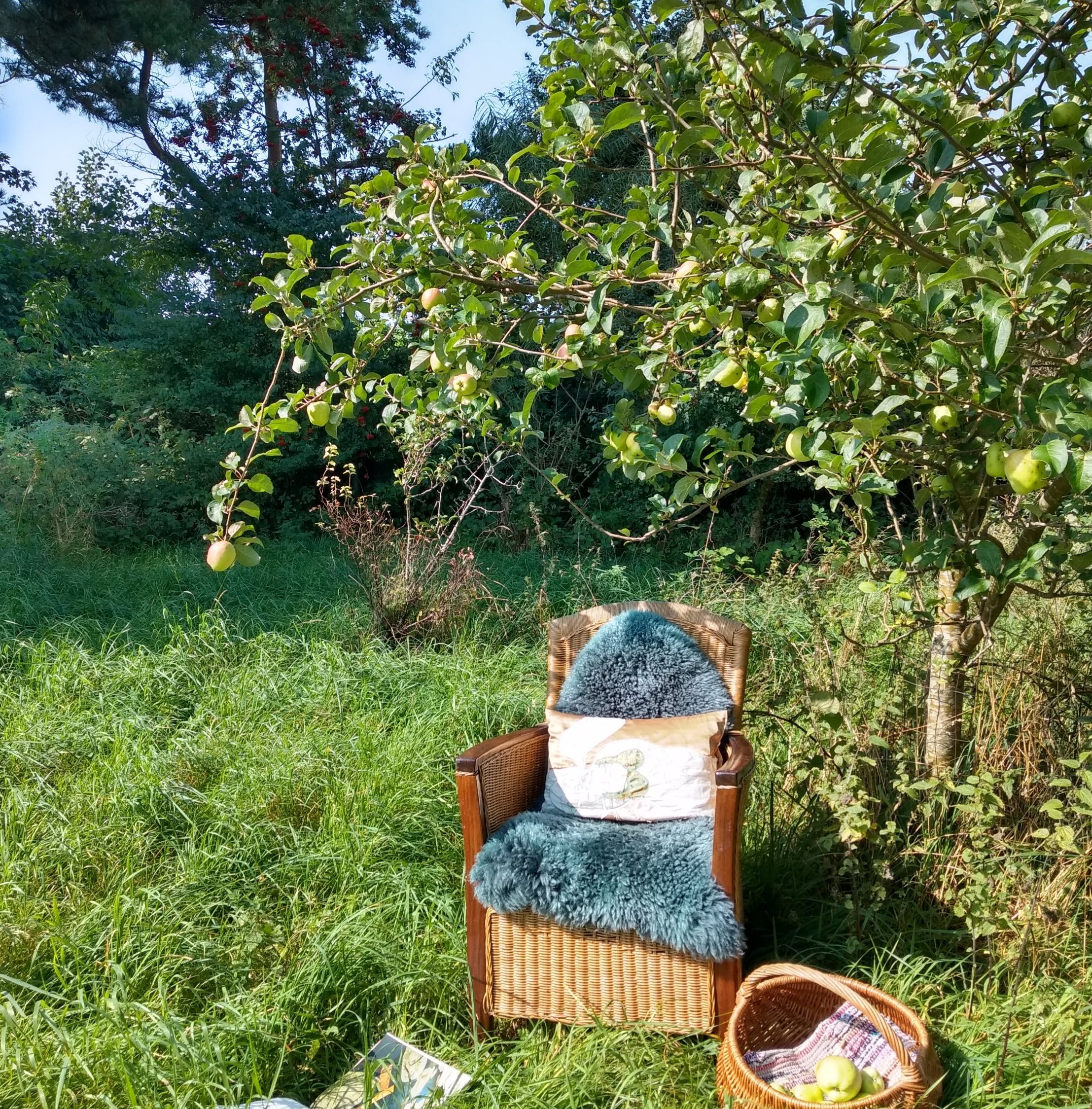 Fremhævet omgivelser billede i fuldskærmstilstand. Billede af Skovsangervej 7, Begtrup, 8420 Knebel