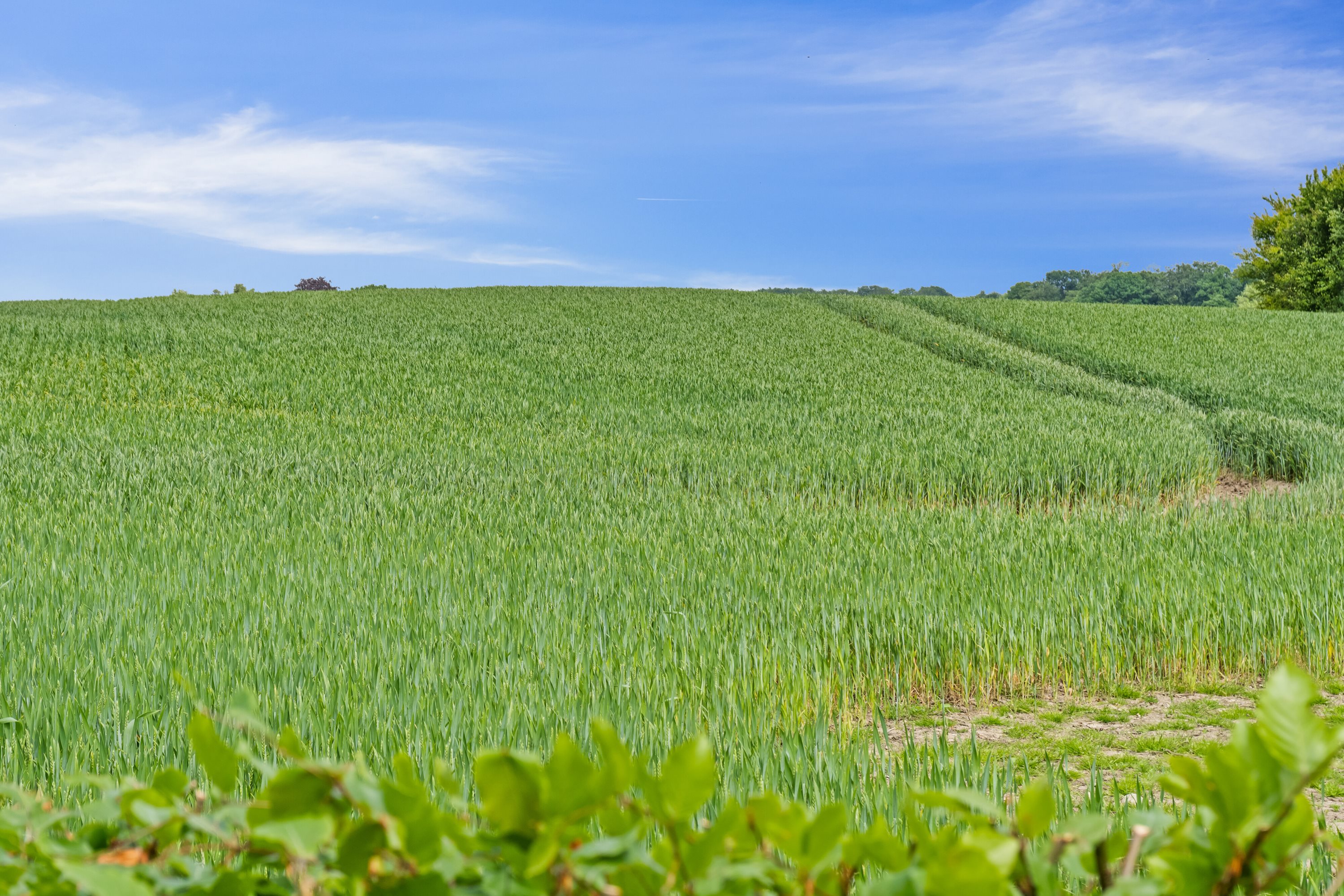 Fremhævet omgivelser billede i fuldskærmstilstand. Billede af Kværndrup Vænge 8, 5772 Kværndrup