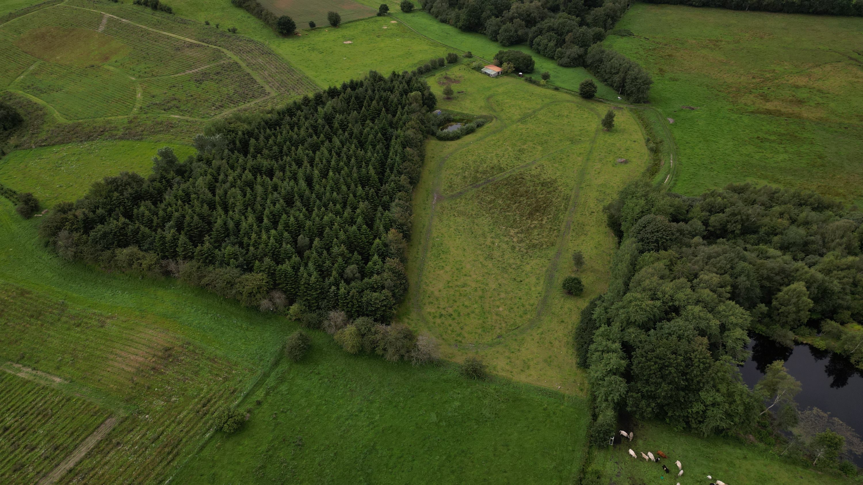 Fremhævet  billede i fuldskærmstilstand. Billede af Røllum Bygade 41, Røllum, 6200 Aabenraa
