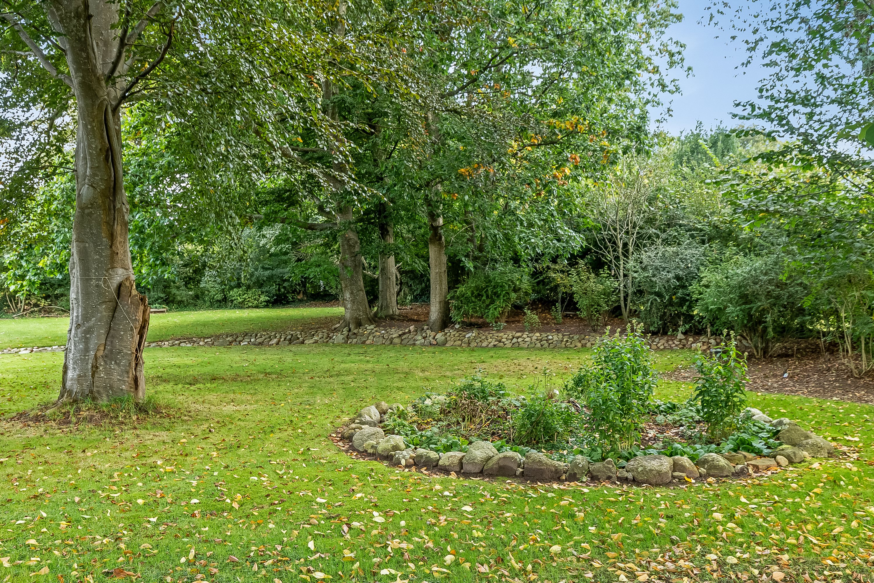 Miniaturebillede 2: have. Billede af Egtvedvej 71, Bølling, 6040 Egtved