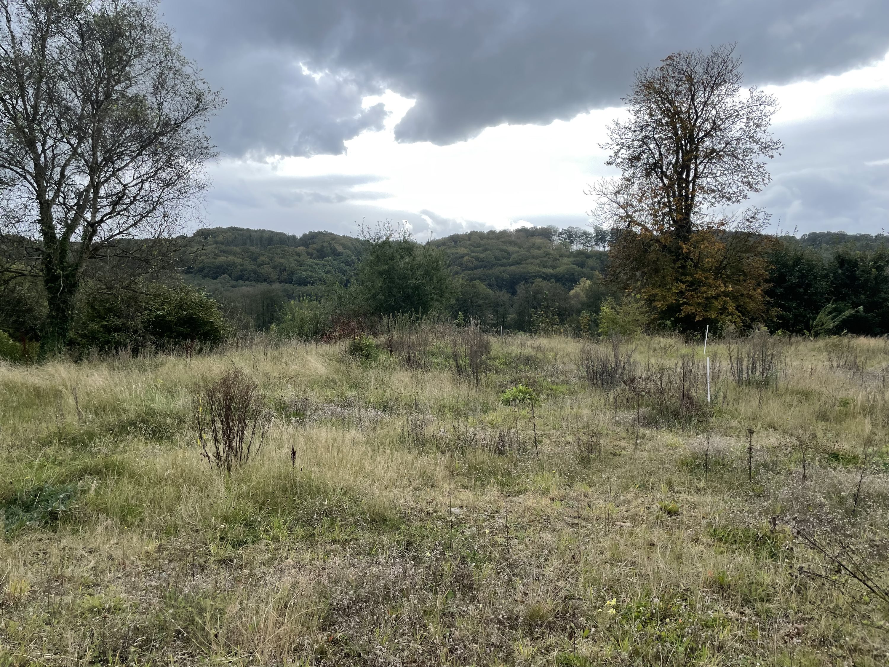 Fremhævet  billede i fuldskærmstilstand. Billede af Stenhøjen 5, Skibet, 7100 Vejle