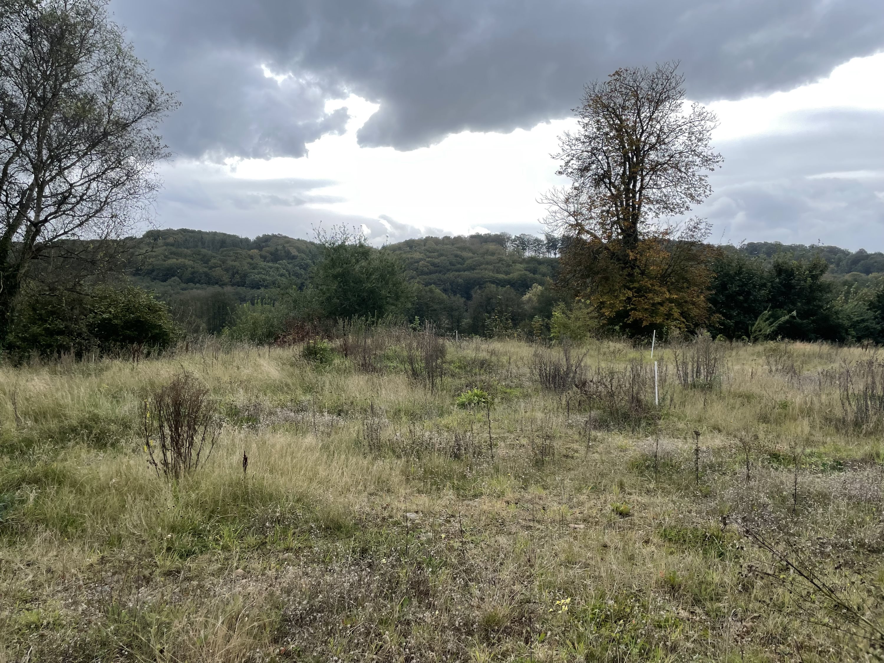 Fremhævet  billede i fuldskærmstilstand. Billede af Stenhøjen 5, Skibet, 7100 Vejle