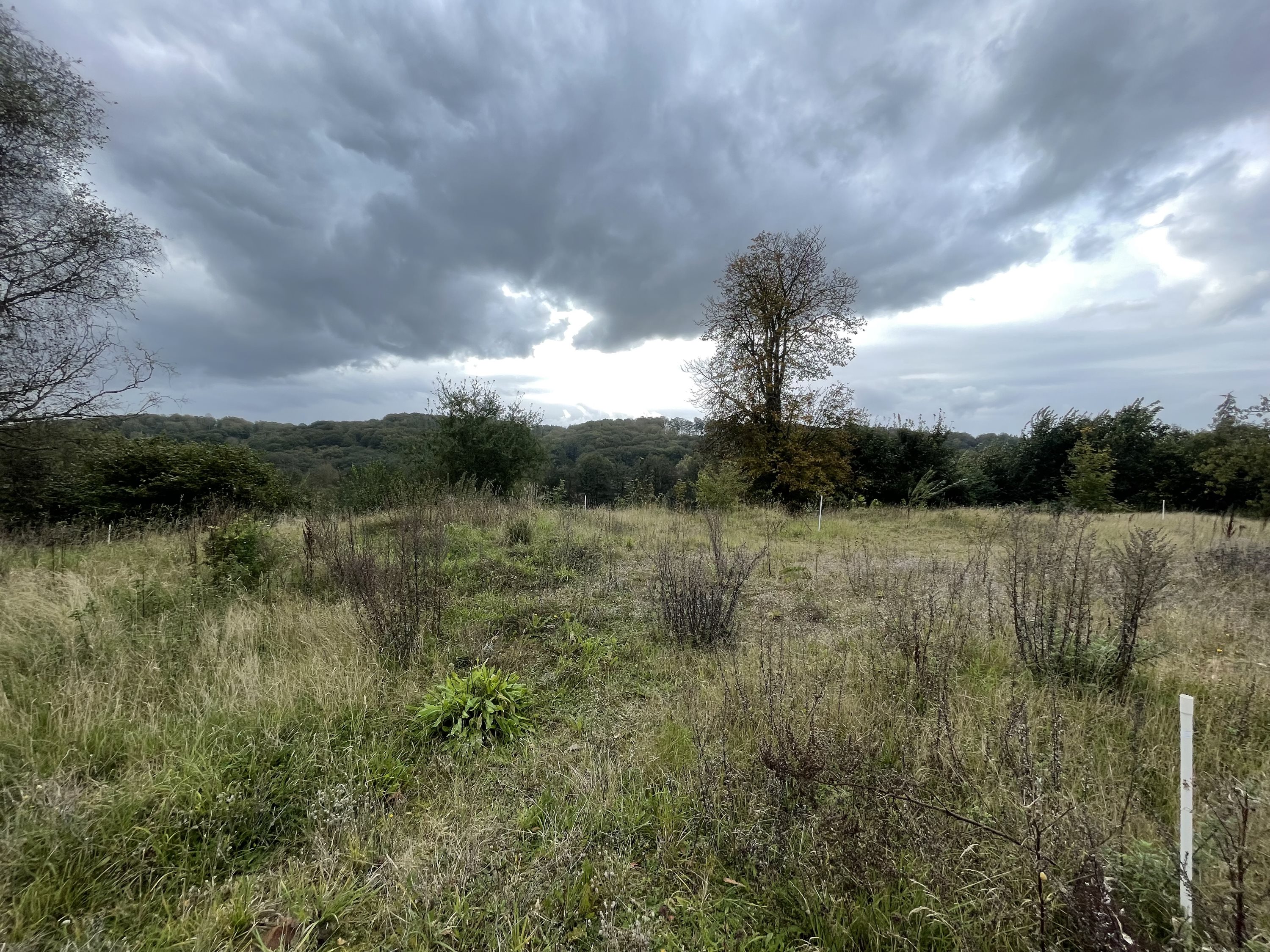 Fremhævet  billede i fuldskærmstilstand. Billede af Stenhøjen 5, Skibet, 7100 Vejle