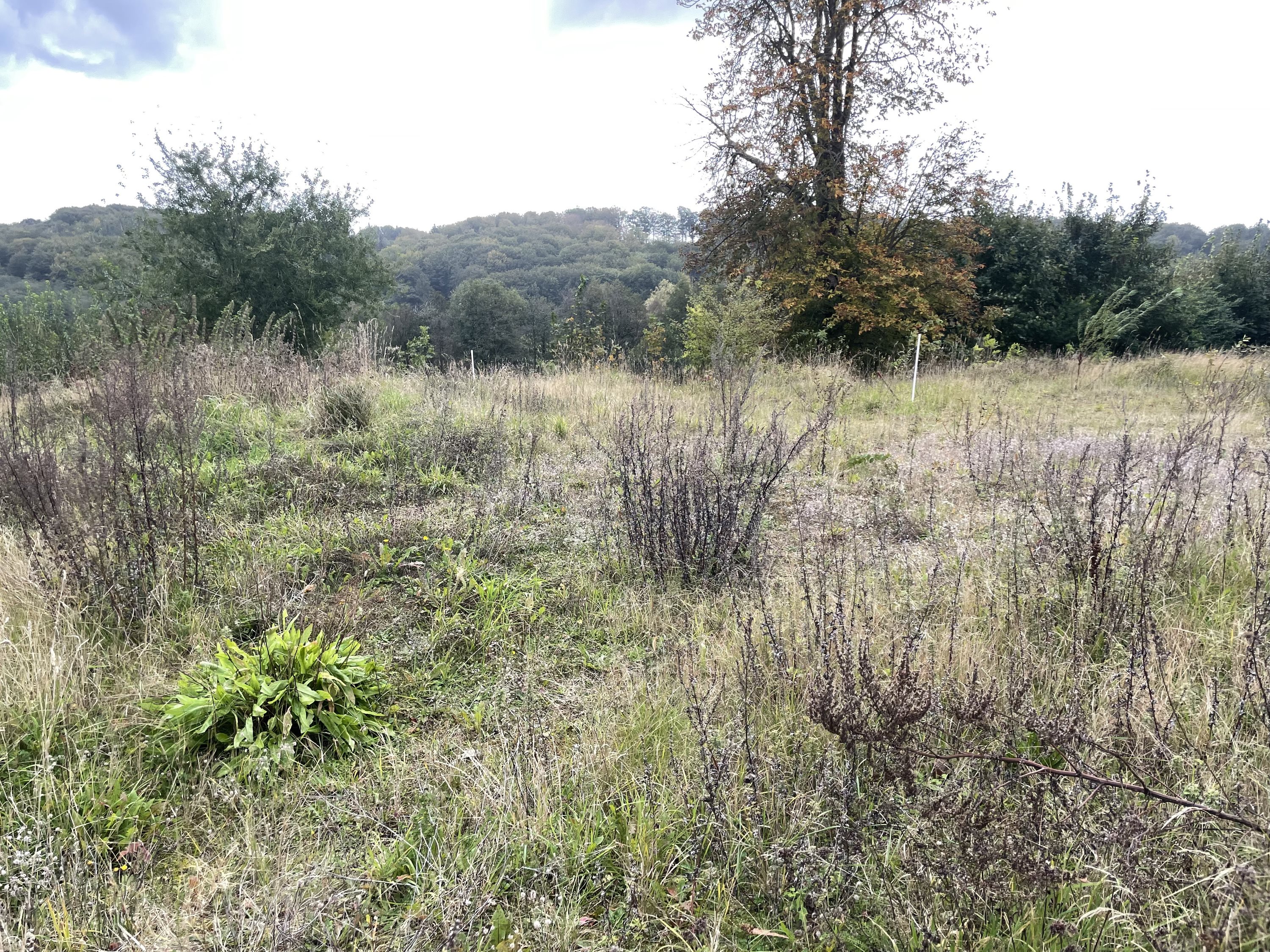 Fremhævet  billede i fuldskærmstilstand. Billede af Stenhøjen 5, Skibet, 7100 Vejle