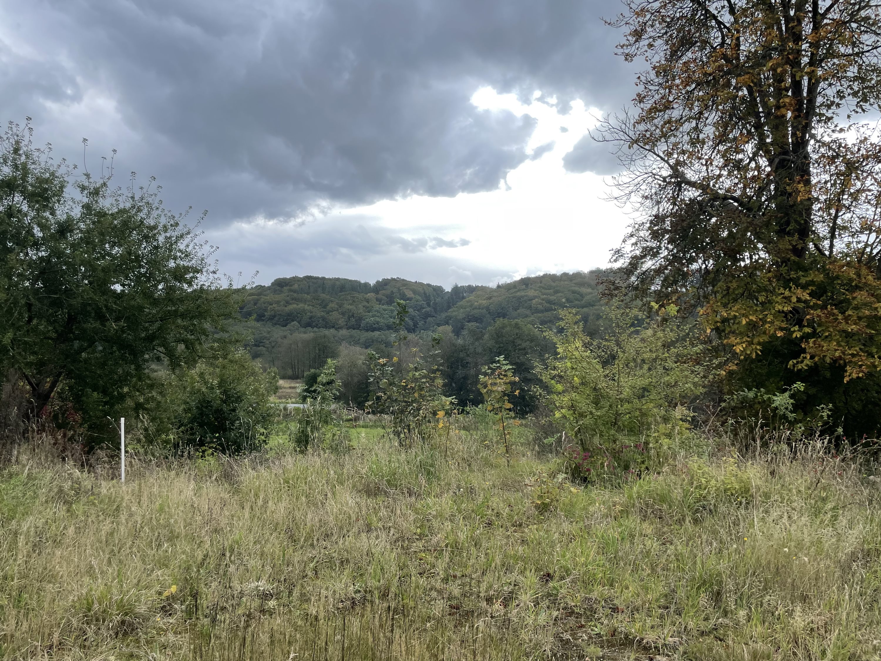 Fremhævet  billede i fuldskærmstilstand. Billede af Stenhøjen 5, Skibet, 7100 Vejle