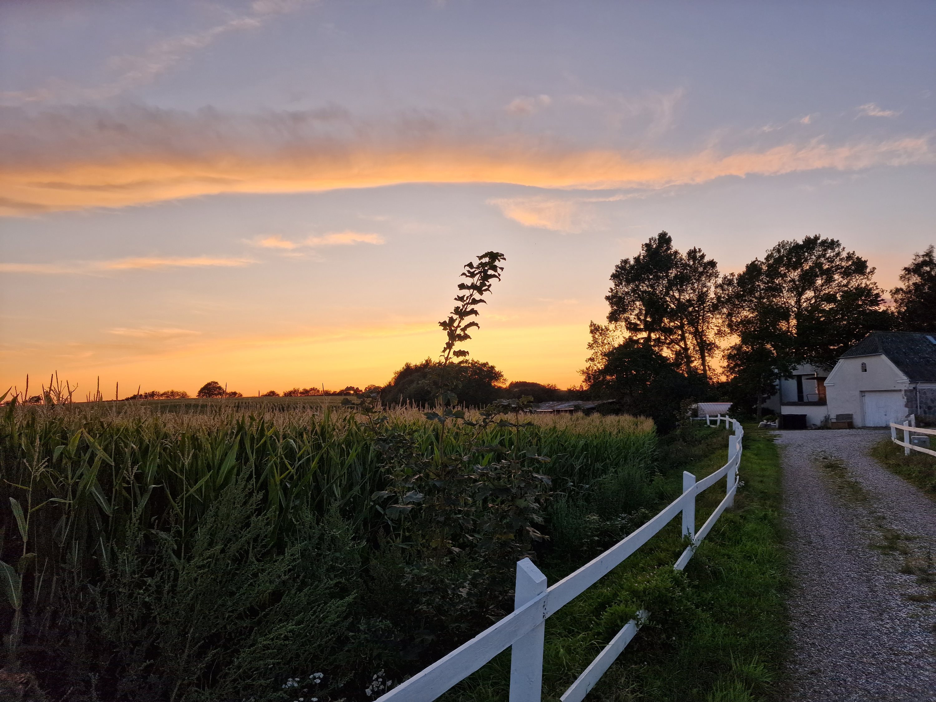 Fremhævet  billede i fuldskærmstilstand. Billede af Nellemosevej 54, Skovkrogen, 5683 Haarby