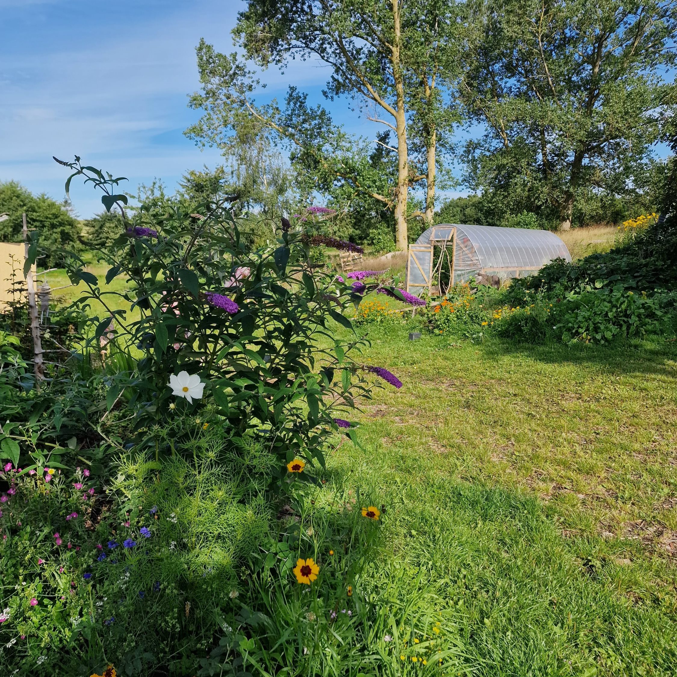 Fremhævet  billede i fuldskærmstilstand. Billede af Nellemosevej 54, Skovkrogen, 5683 Haarby