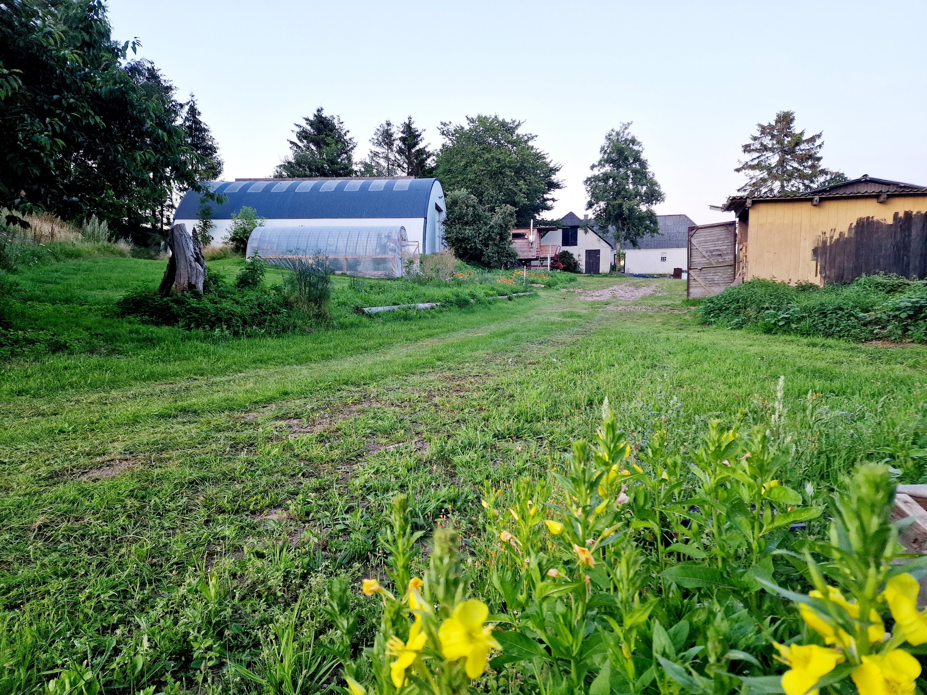 Fremhævet  billede i fuldskærmstilstand. Billede af Nellemosevej 54, Skovkrogen, 5683 Haarby