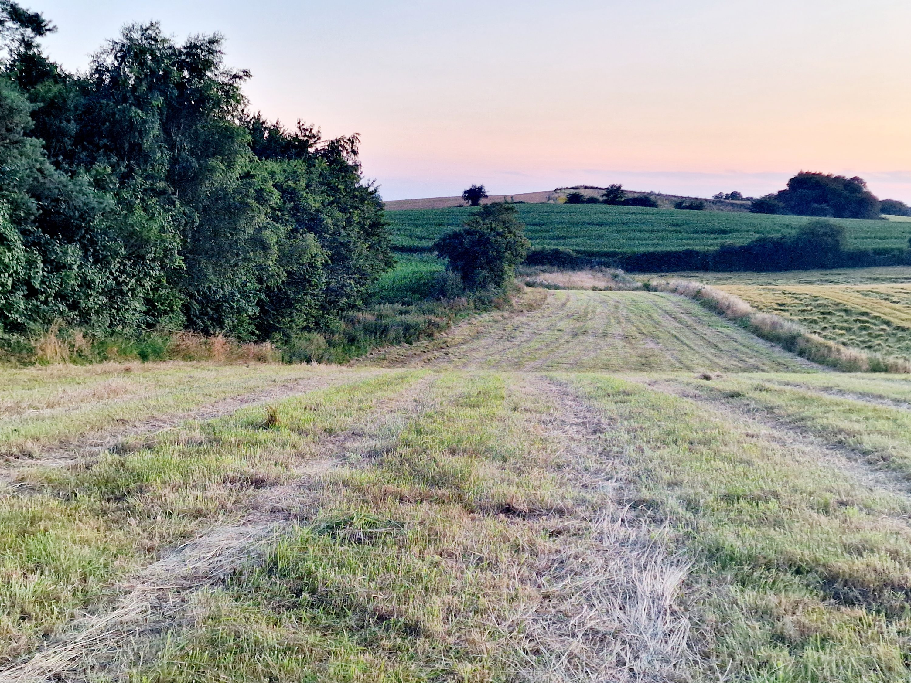 Fremhævet  billede i fuldskærmstilstand. Billede af Nellemosevej 54, Skovkrogen, 5683 Haarby