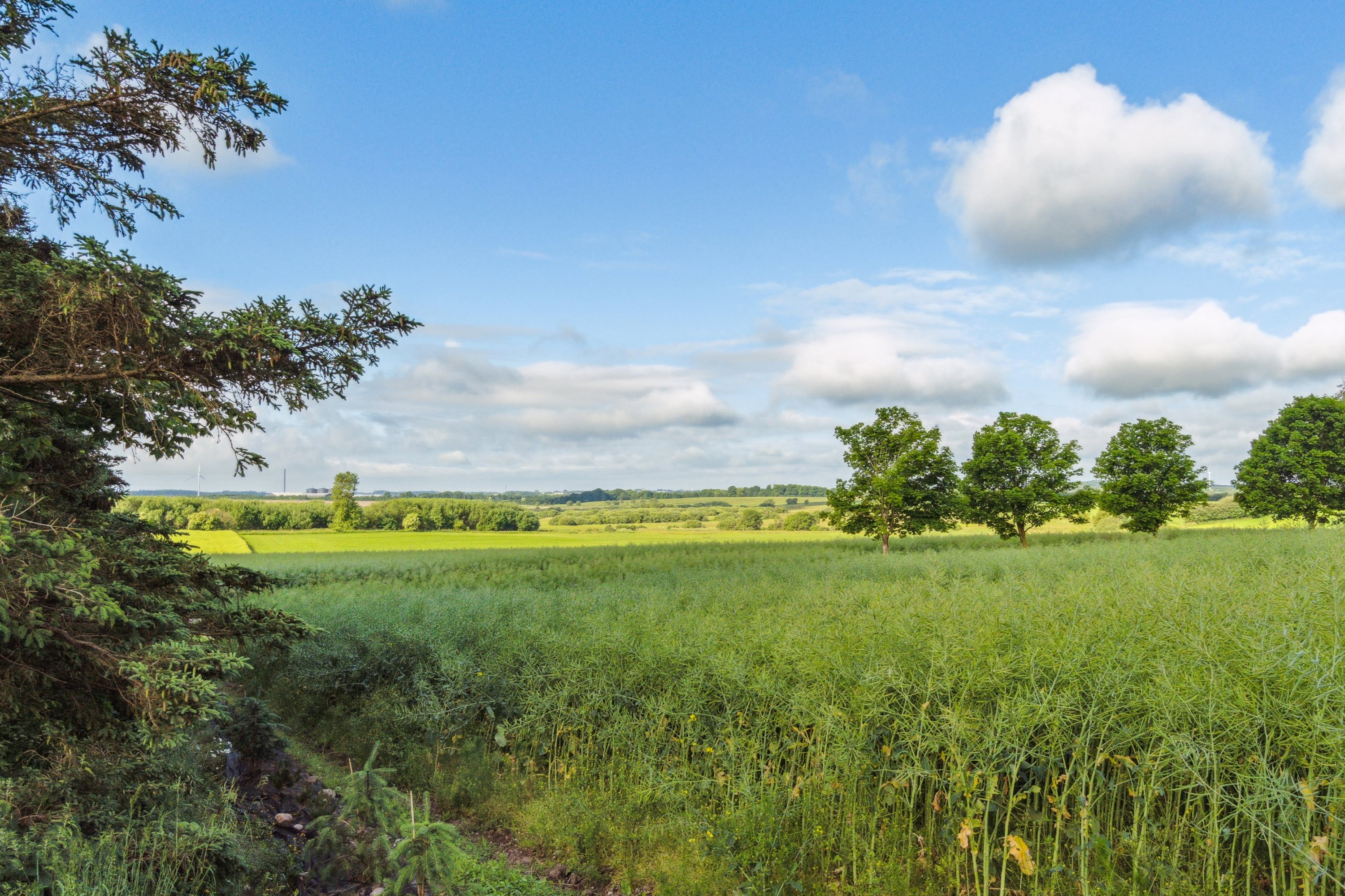 Fremhævet  billede i fuldskærmstilstand. Billede af Gamborgvej 8, Havbro, 9600 Aars