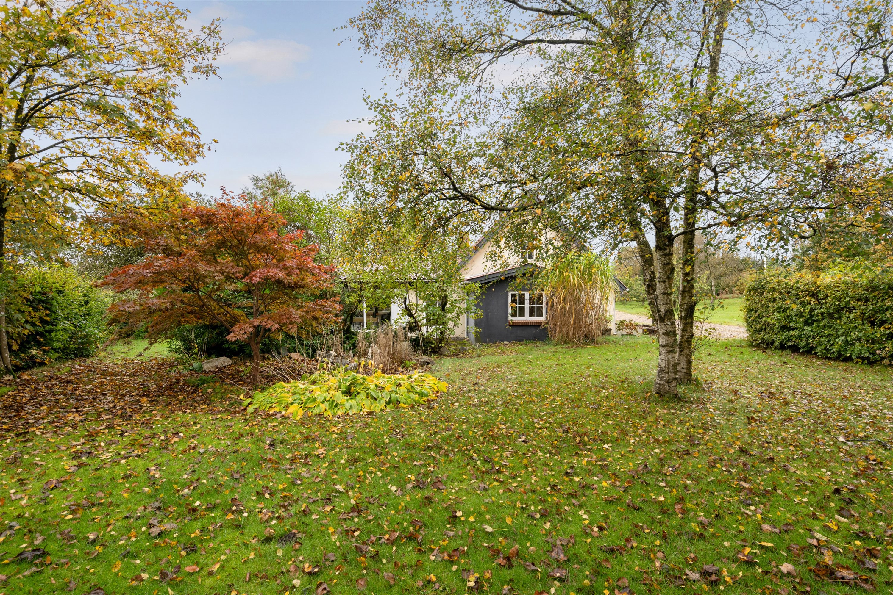 Fremhævet ejendommen billede i fuldskærmstilstand. Billede af Letbækvej 31, 6862 Tistrup