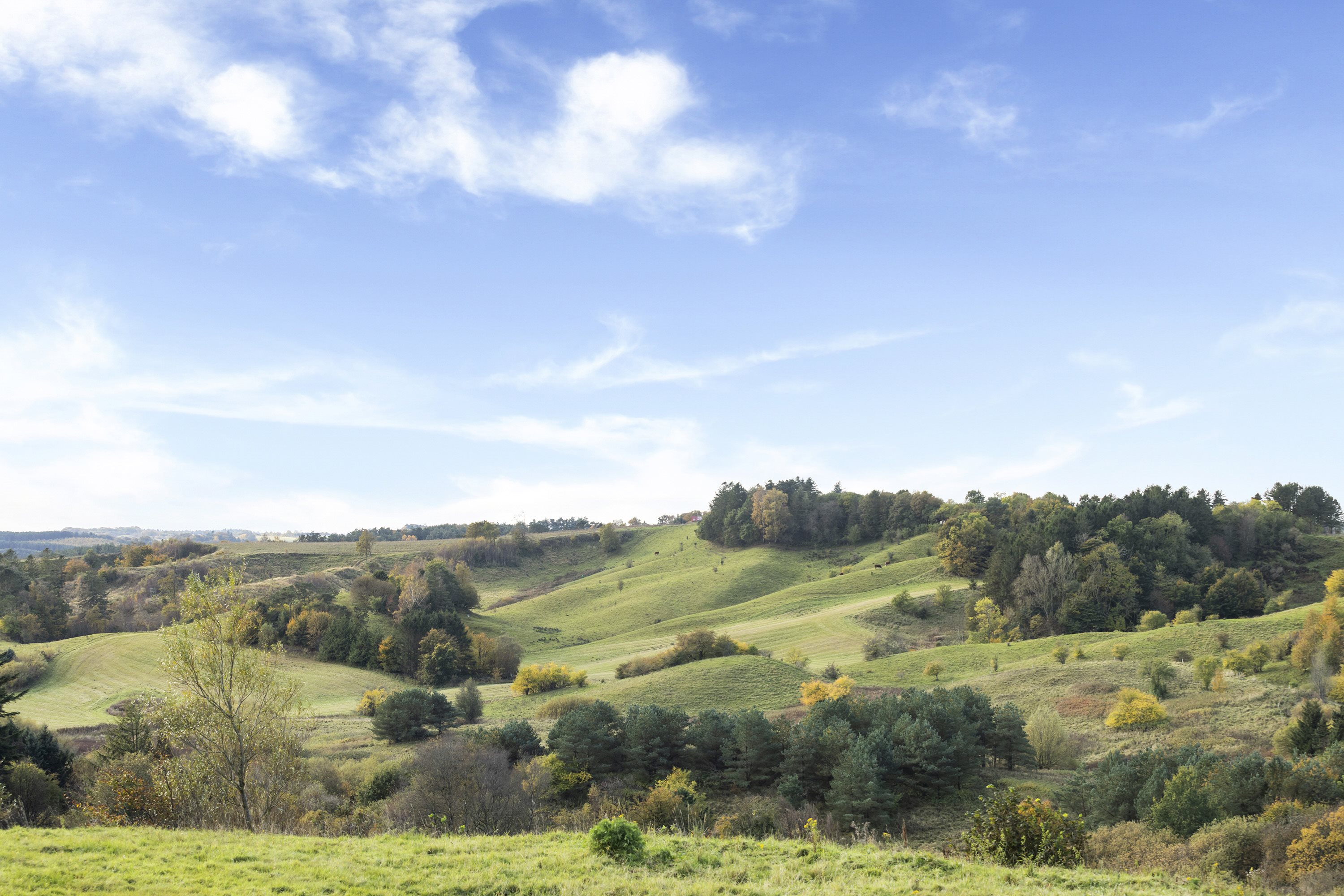 Miniaturebillede 2: udsigt. Billede af Øster Rør Vej 6, Gærum, 9900 Frederikshavn