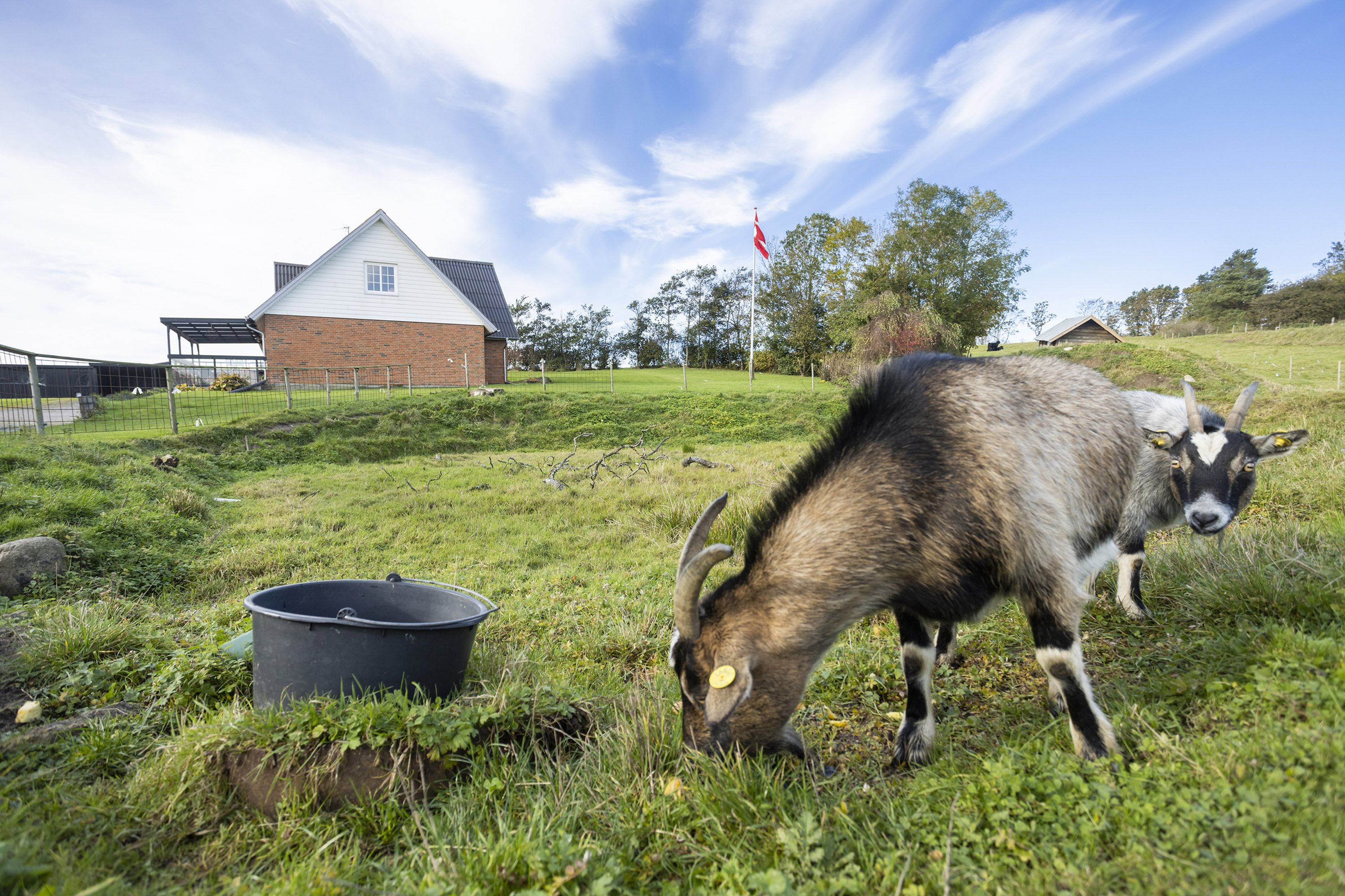 Fremhævet område billede i fuldskærmstilstand. Billede af Øster Rør Vej 6, Gærum, 9900 Frederikshavn
