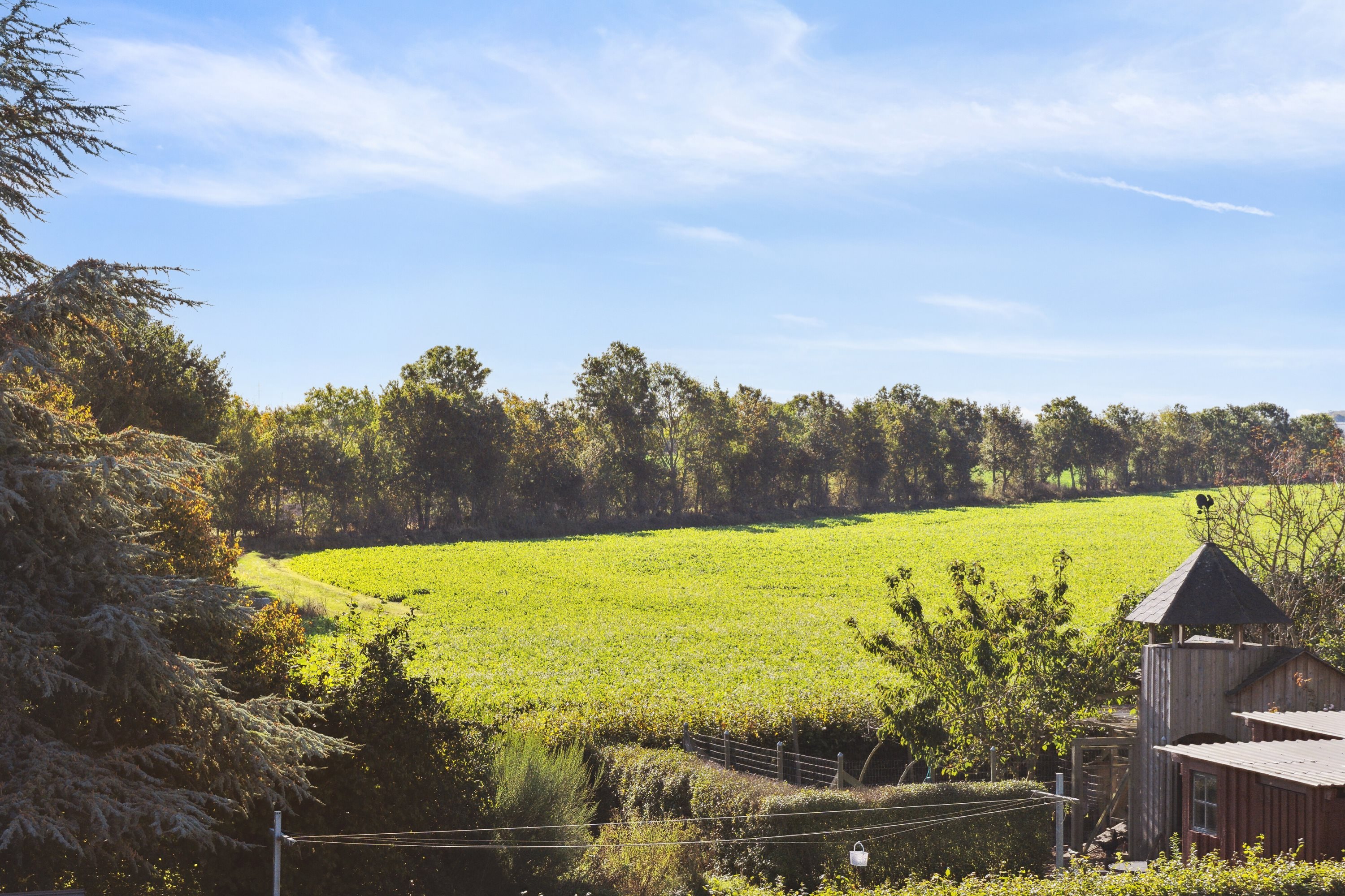 Fremhævet udsigt billede i fuldskærmstilstand. Billede af Køng Møllevej 11, 4750 Lundby