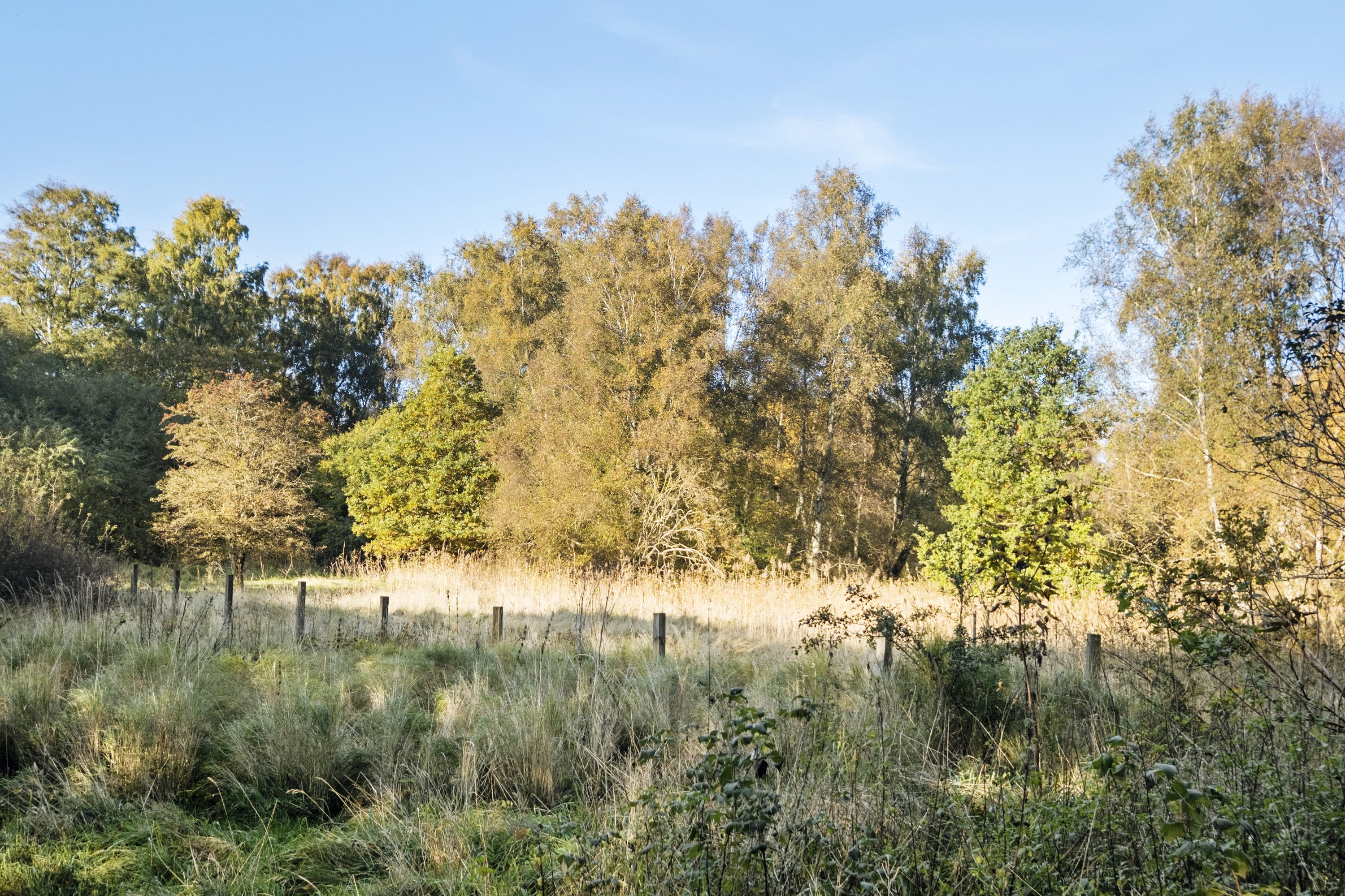 Fremhævet område billede i fuldskærmstilstand. Billede af Skindersøvej 44, 3140 Ålsgårde