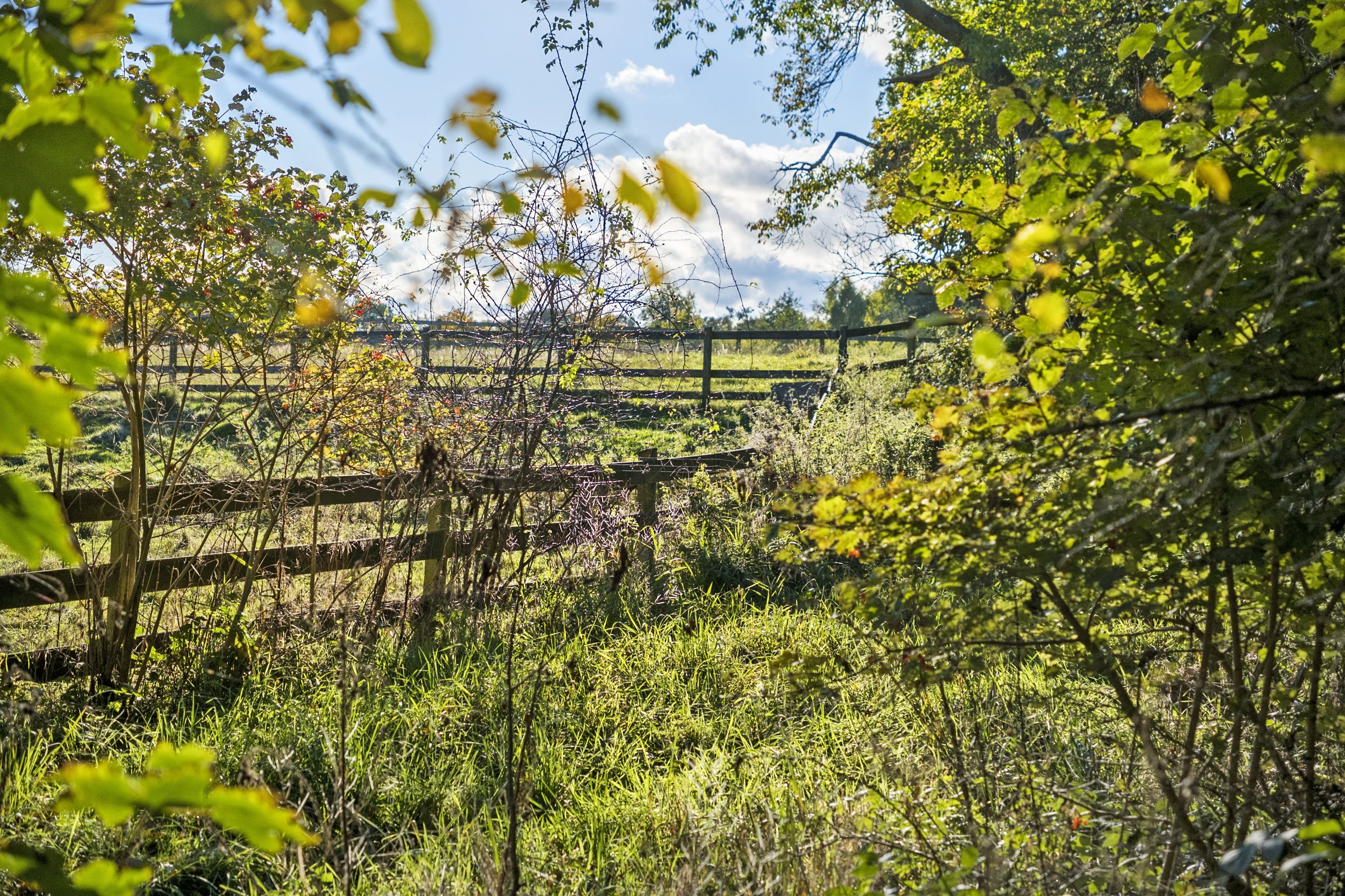 Fremhævet område billede i fuldskærmstilstand. Billede af Skindersøvej 44, 3140 Ålsgårde