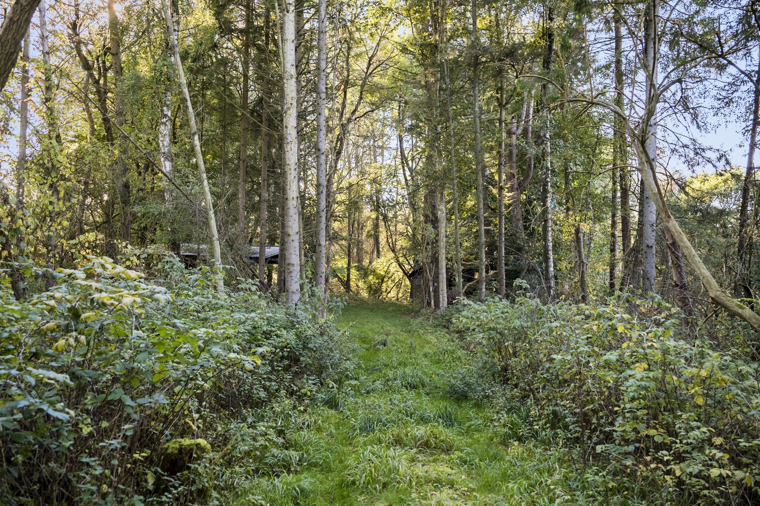 Fremhævet område billede i fuldskærmstilstand. Billede af Skindersøvej 44, 3140 Ålsgårde