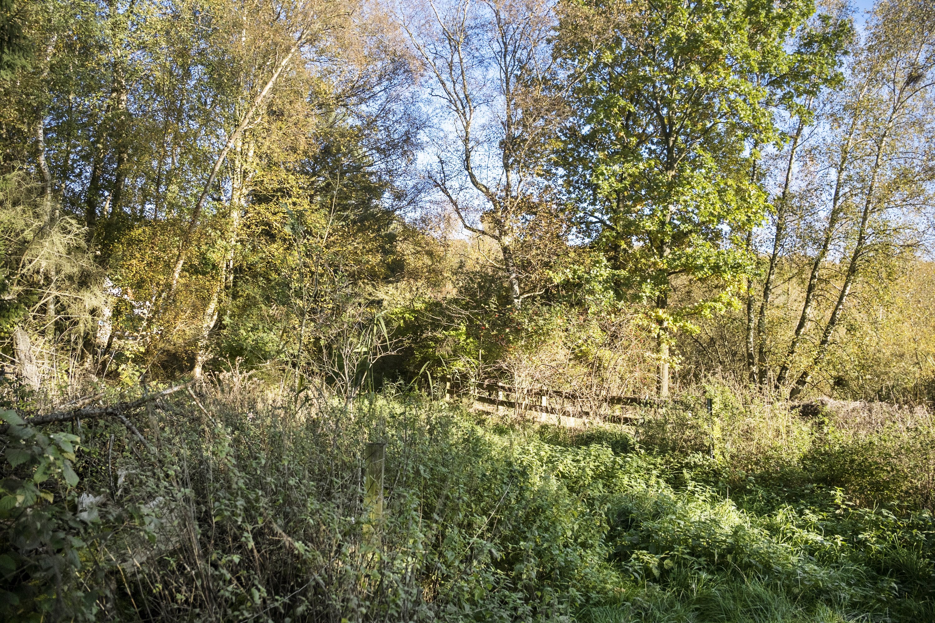 Fremhævet område billede i fuldskærmstilstand. Billede af Skindersøvej 44, 3140 Ålsgårde