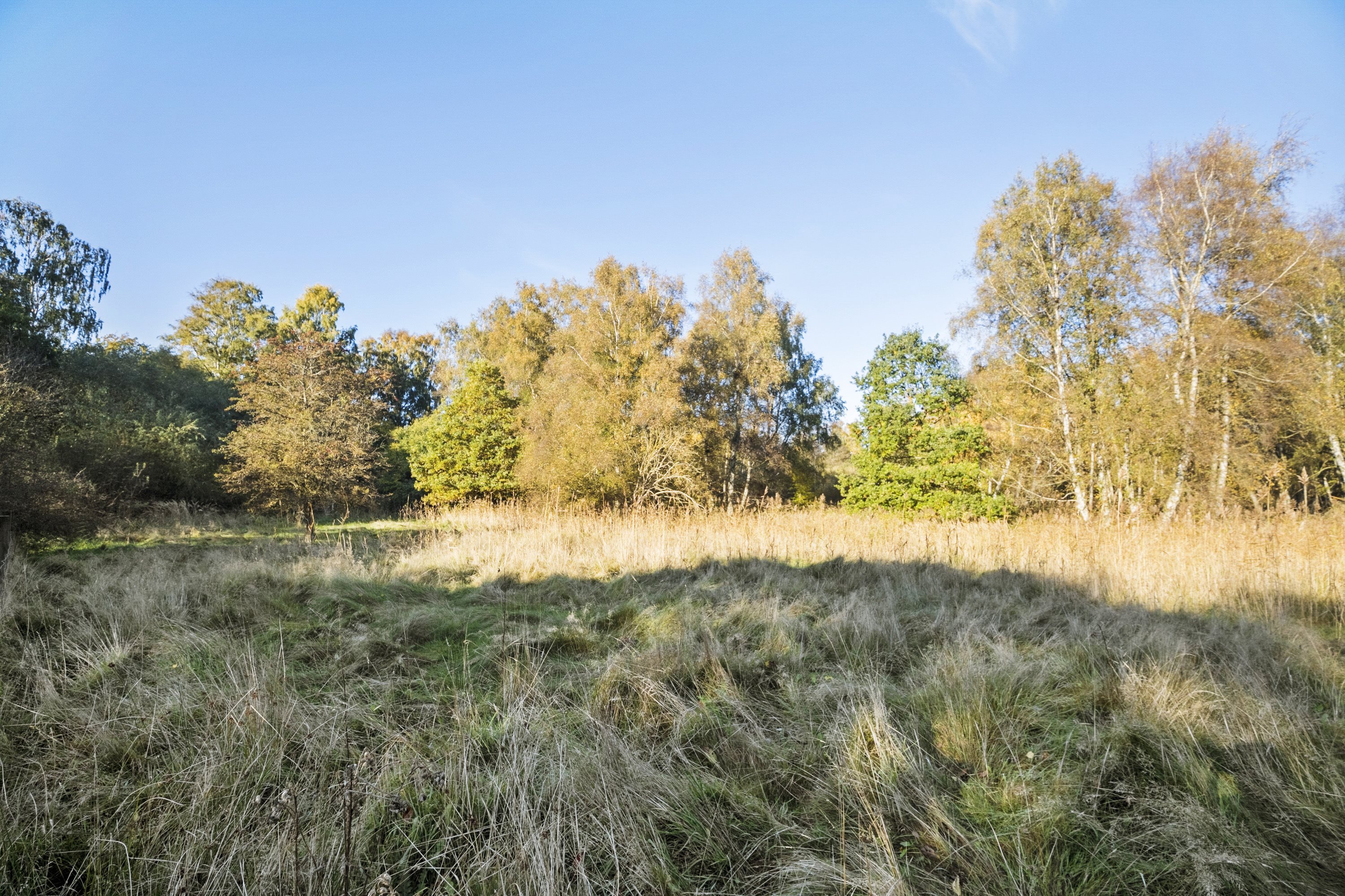 Fremhævet område billede i fuldskærmstilstand. Billede af Skindersøvej 44, 3140 Ålsgårde