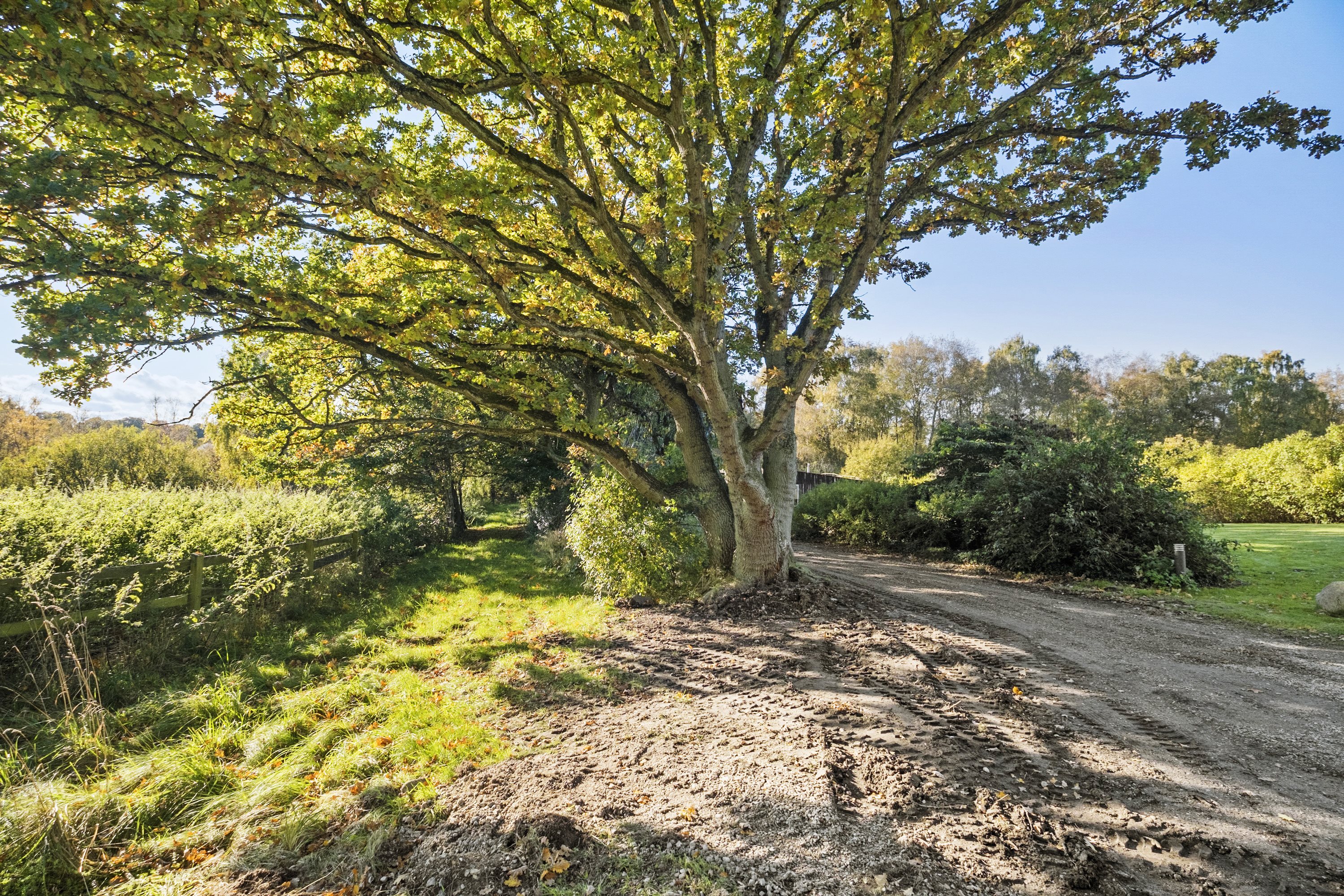 Fremhævet område billede i fuldskærmstilstand. Billede af Skindersøvej 44, 3140 Ålsgårde