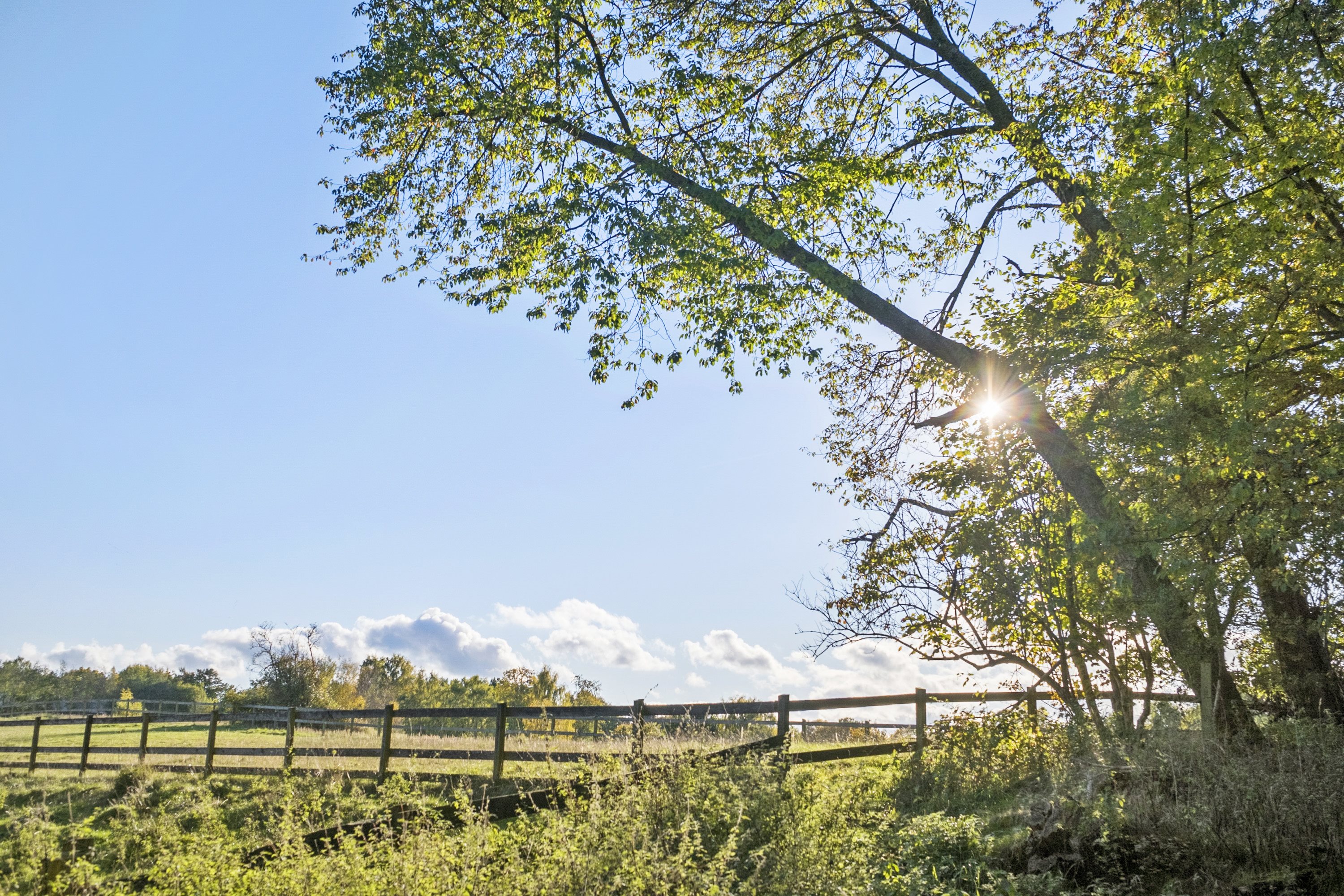 Fremhævet område billede i fuldskærmstilstand. Billede af Skindersøvej 44, 3140 Ålsgårde