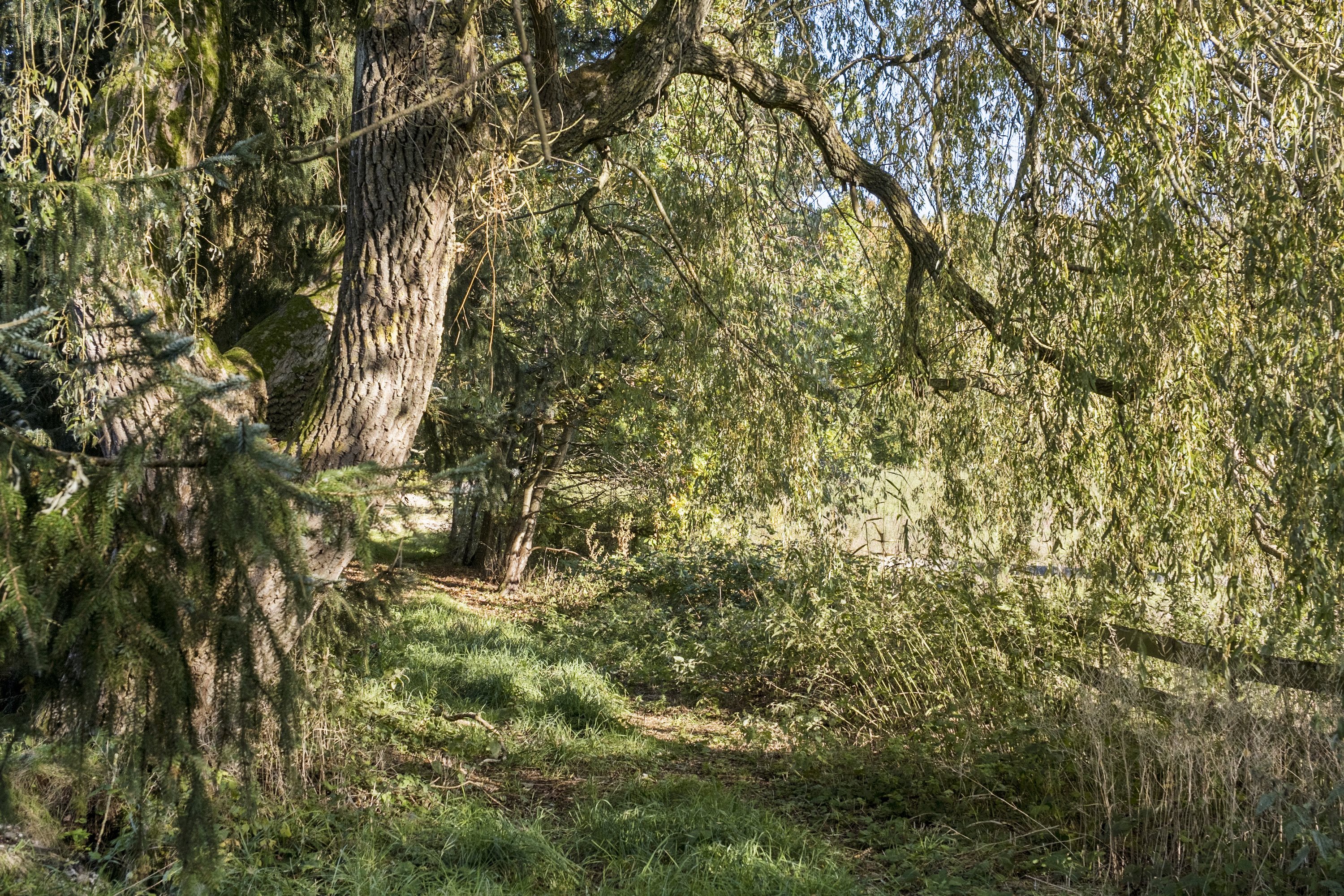 Fremhævet område billede i fuldskærmstilstand. Billede af Skindersøvej 44, 3140 Ålsgårde