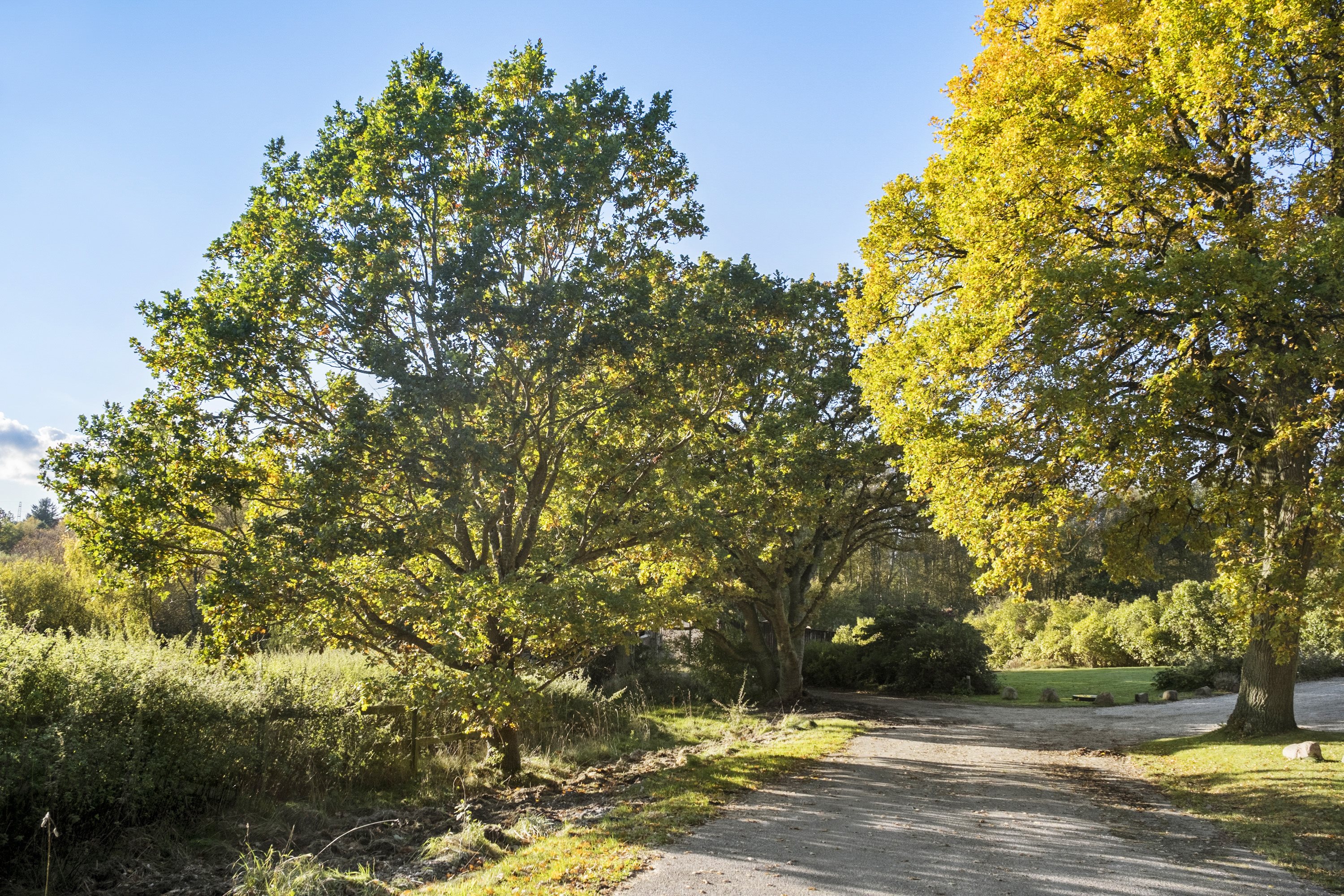 Fremhævet område billede i fuldskærmstilstand. Billede af Skindersøvej 44, 3140 Ålsgårde
