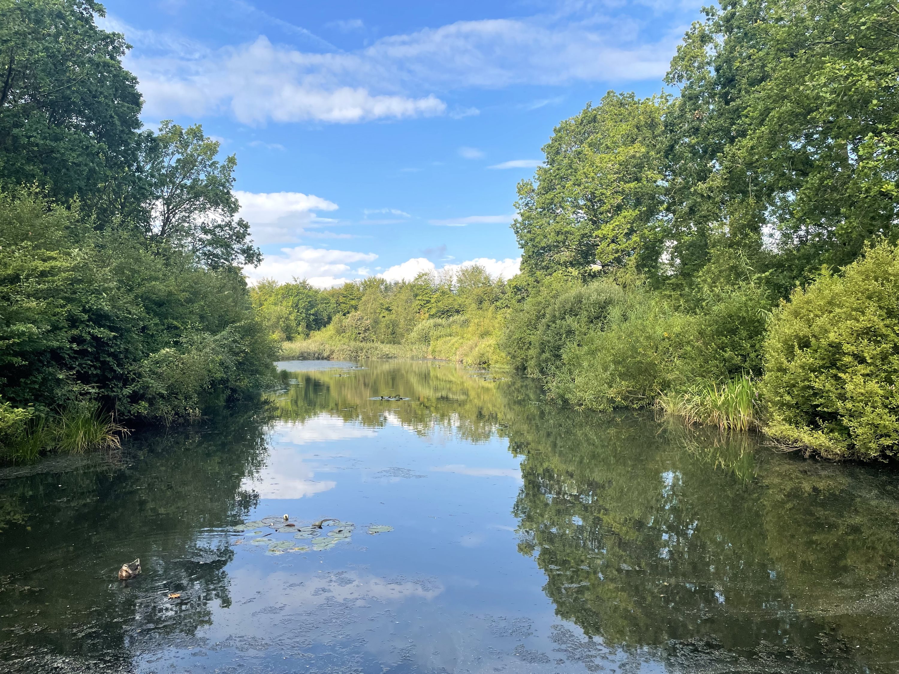 Fremhævet  billede i fuldskærmstilstand. Billede af Kornblomstvej 24, 9300 Sæby