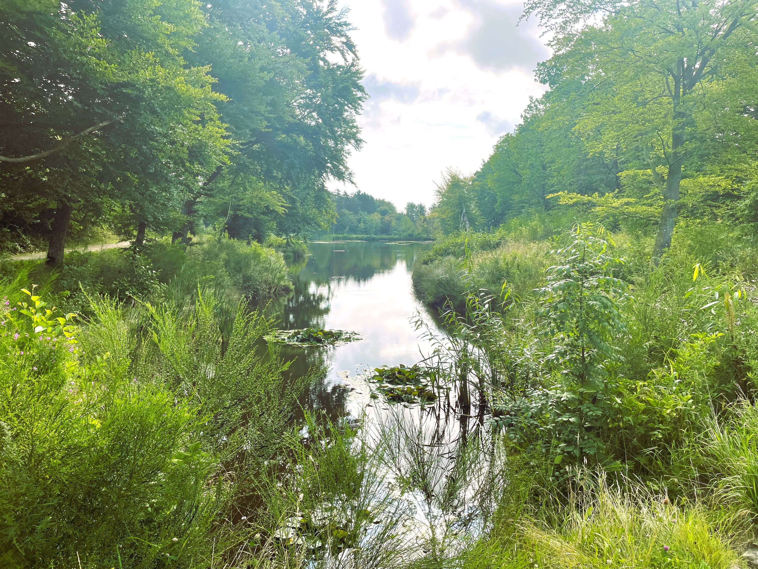 Fremhævet  billede i fuldskærmstilstand. Billede af Kornblomstvej 24, 9300 Sæby