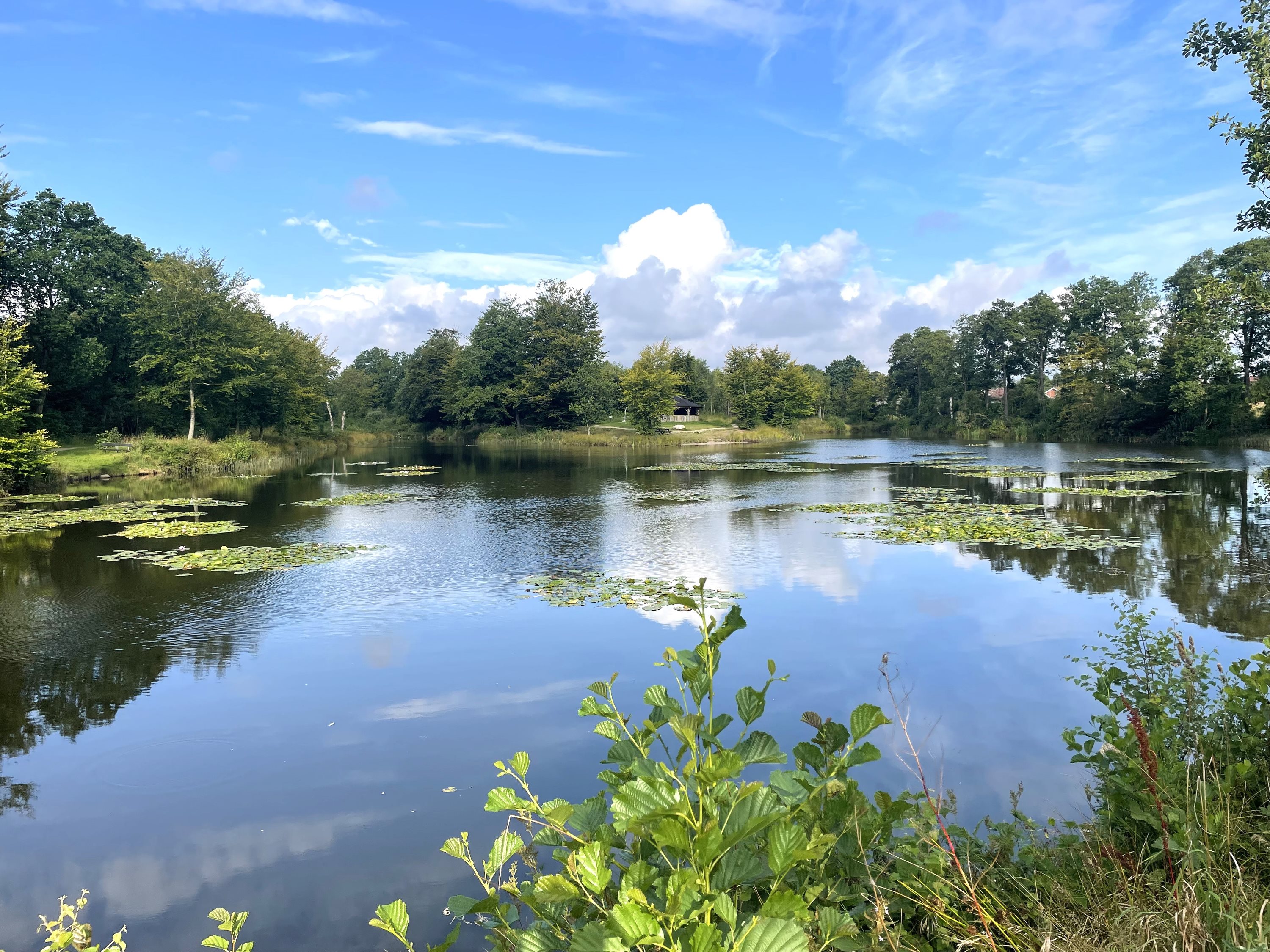 Fremhævet  billede i fuldskærmstilstand. Billede af Kornblomstvej 24, 9300 Sæby