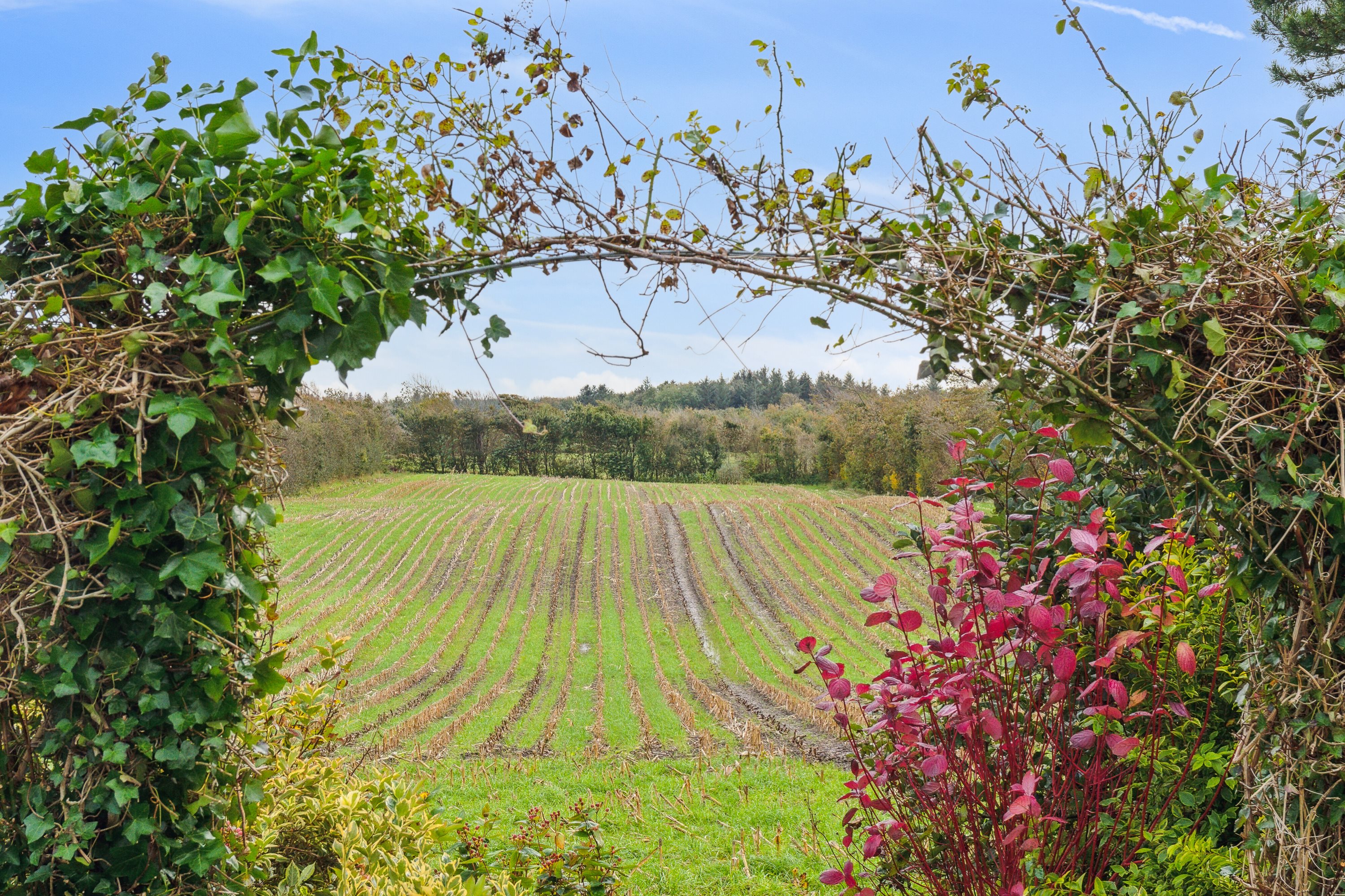 Fremhævet udsigt billede i fuldskærmstilstand. Billede af Møllevangen 18, Hørdum, 7752 Snedsted