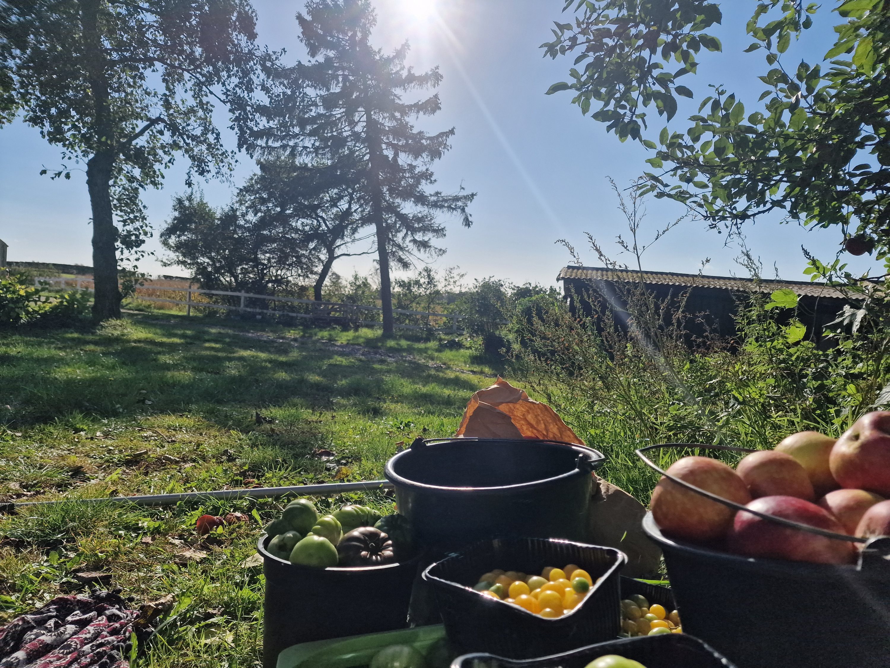 Fremhævet  billede i fuldskærmstilstand. Billede af Nellemosevej 54, Skovkrogen, 5683 Haarby
