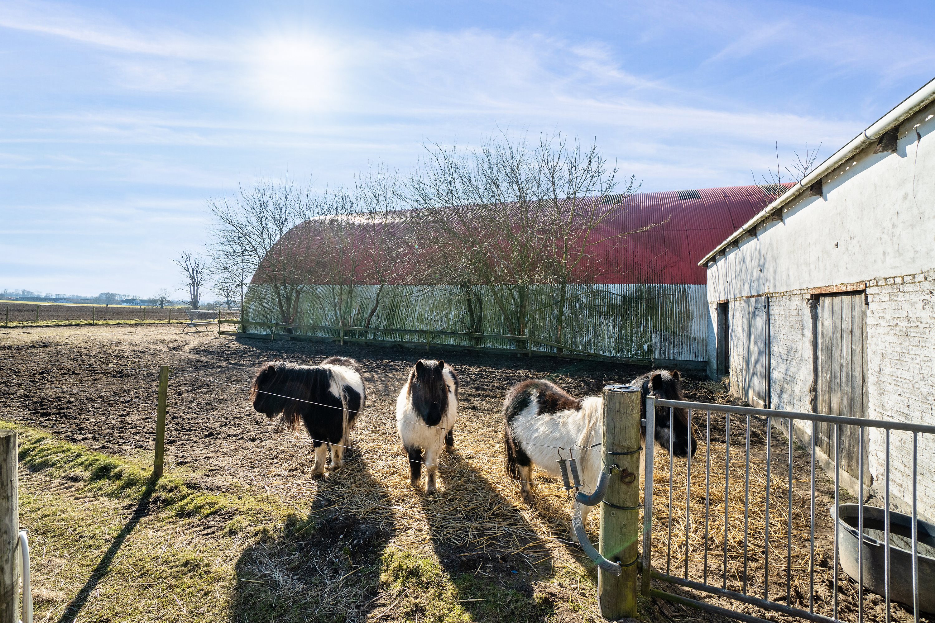 Fremhævet  billede i fuldskærmstilstand. Billede af Hjerupvej 39, Hjerup, 5560 Aarup