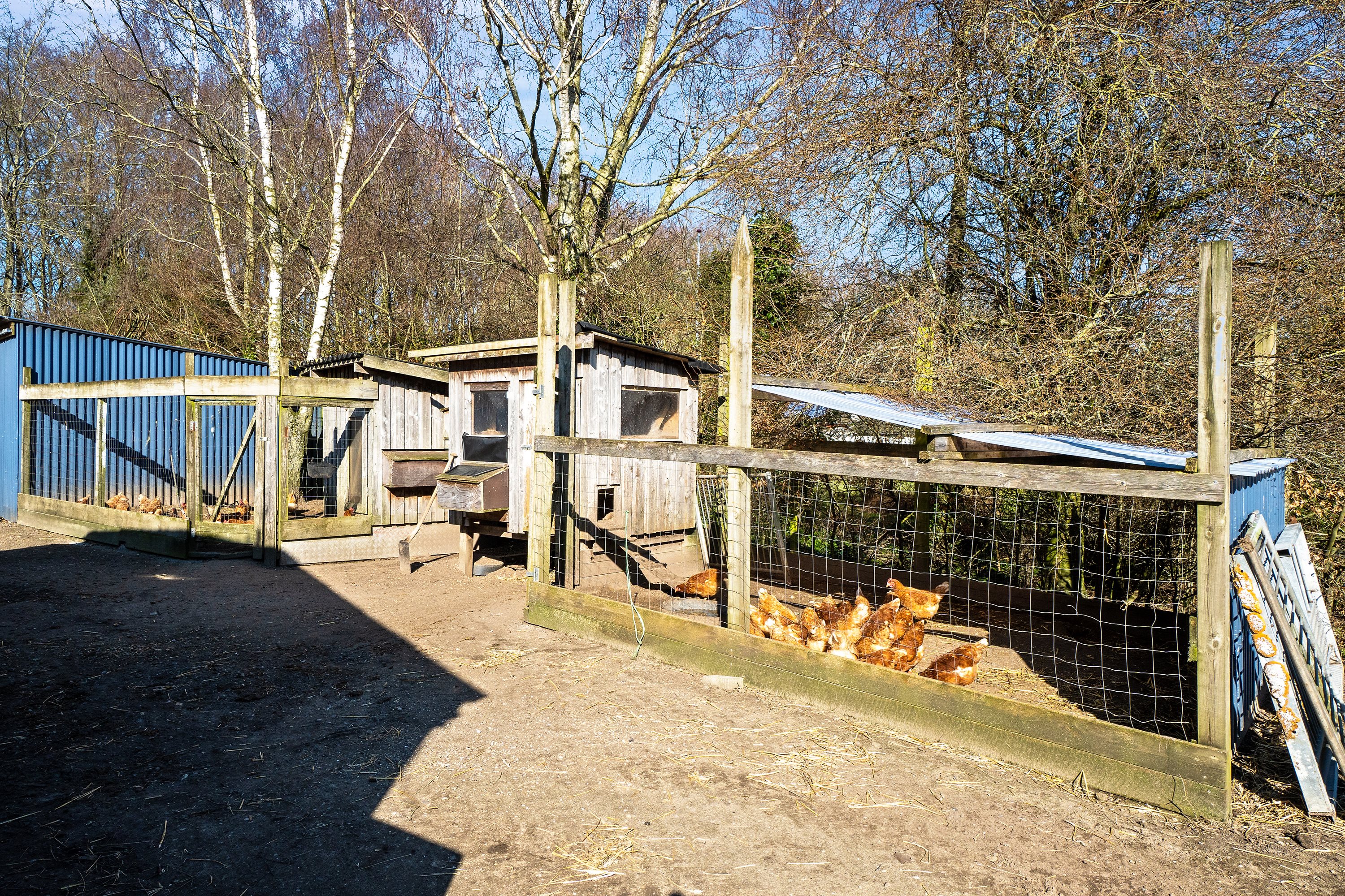 Fremhævet  billede i fuldskærmstilstand. Billede af Hjerupvej 39, Hjerup, 5560 Aarup