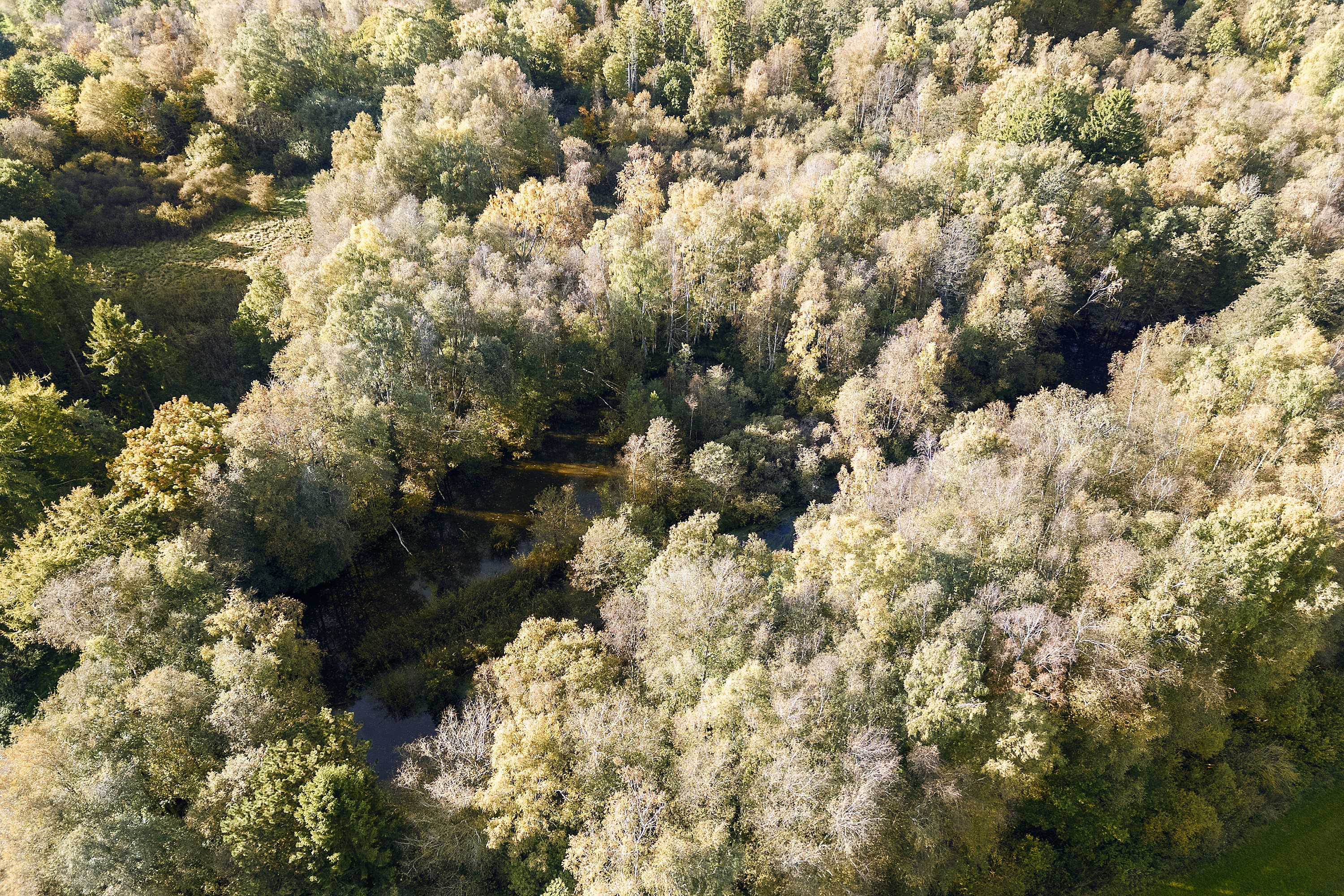 Fremhævet område billede i fuldskærmstilstand. Billede af Skindersøvej 44, 3140 Ålsgårde