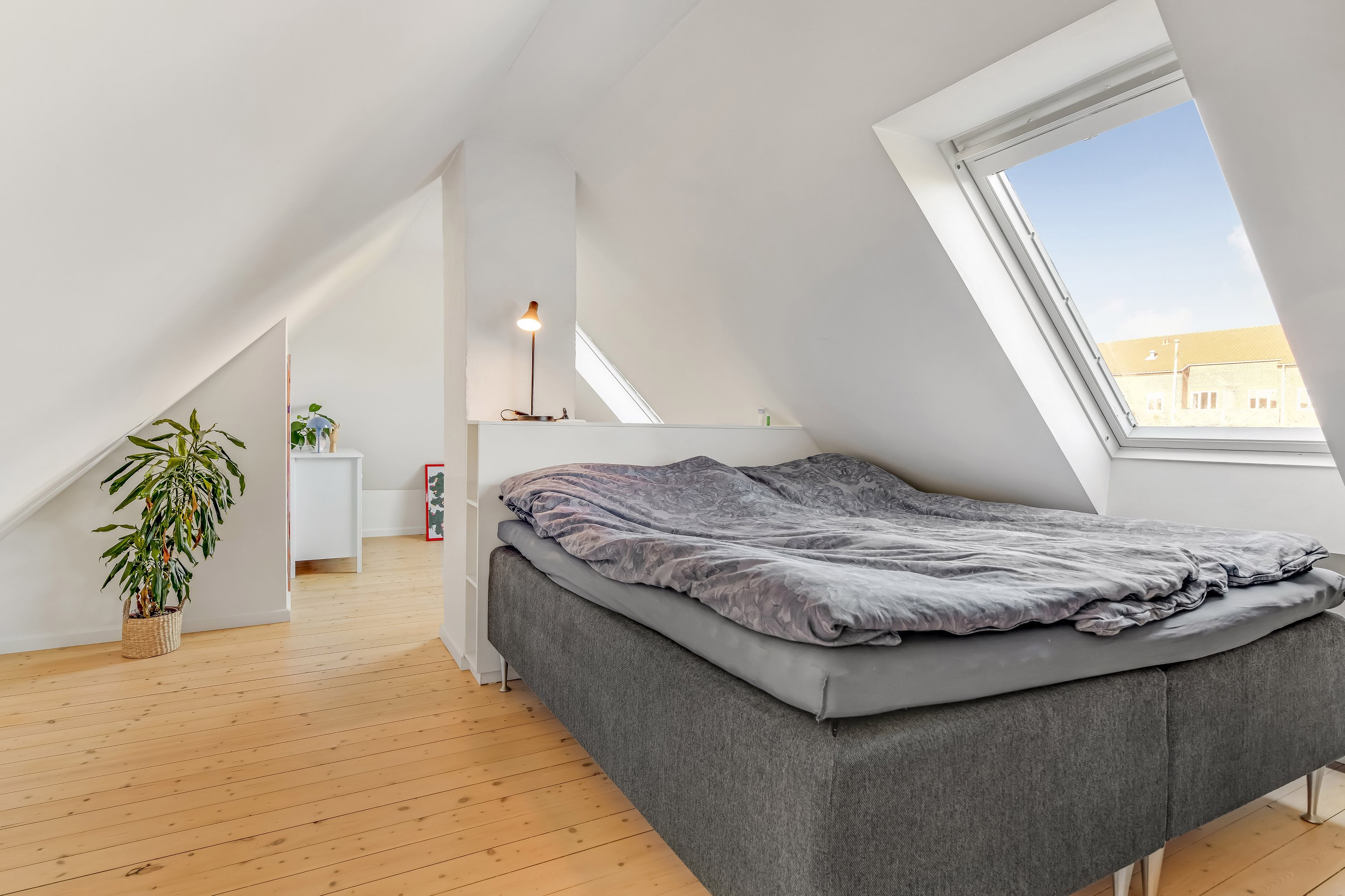 Fremhævet værelse billede i fuldskærmstilstand. Billede af Skjoldsgade 9, 1., 6700 Esbjerg