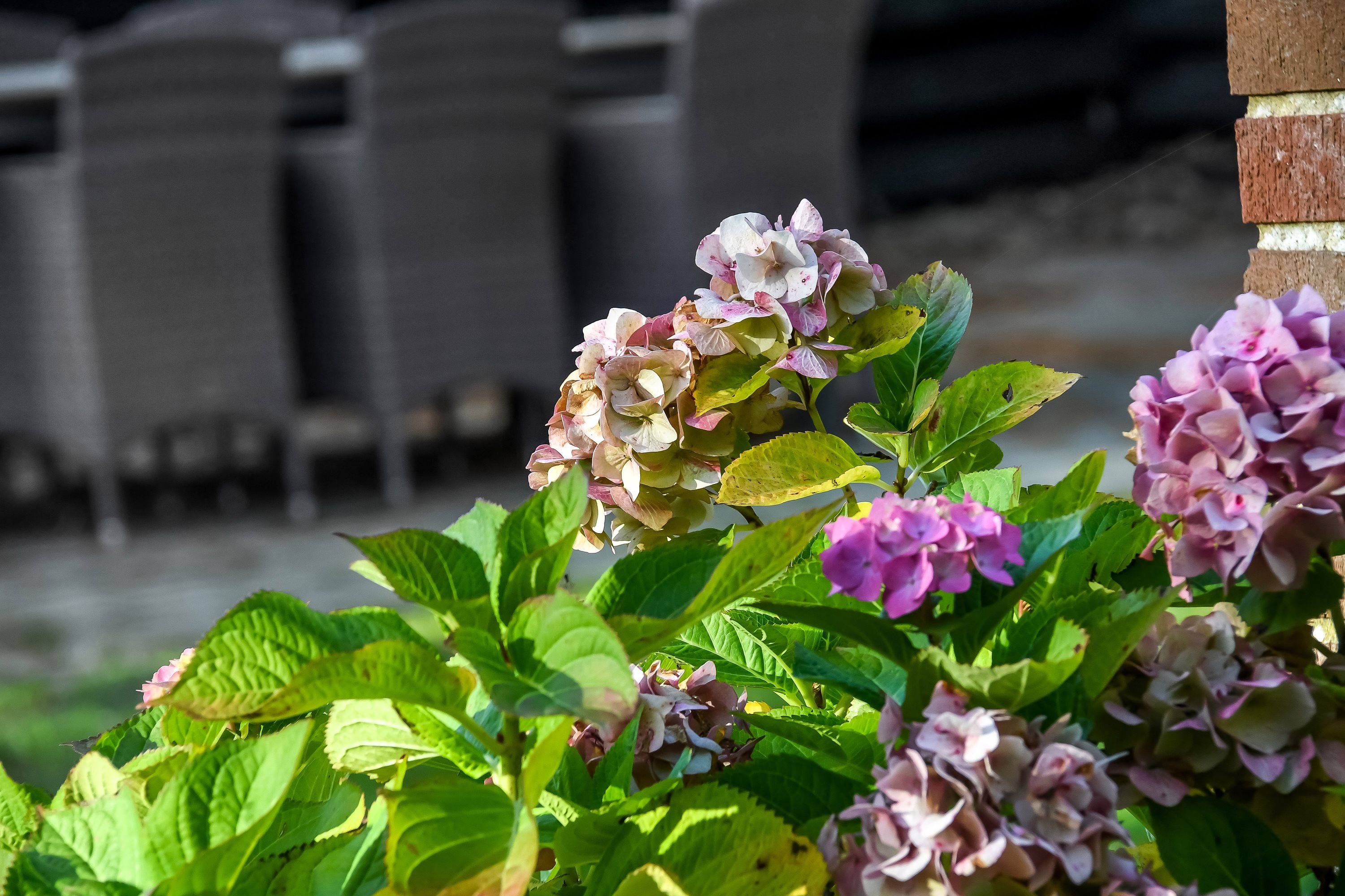 Fremhævet terrasse billede i fuldskærmstilstand. Billede af Sortebærvej 18, Vedersø, 6990 Ulfborg