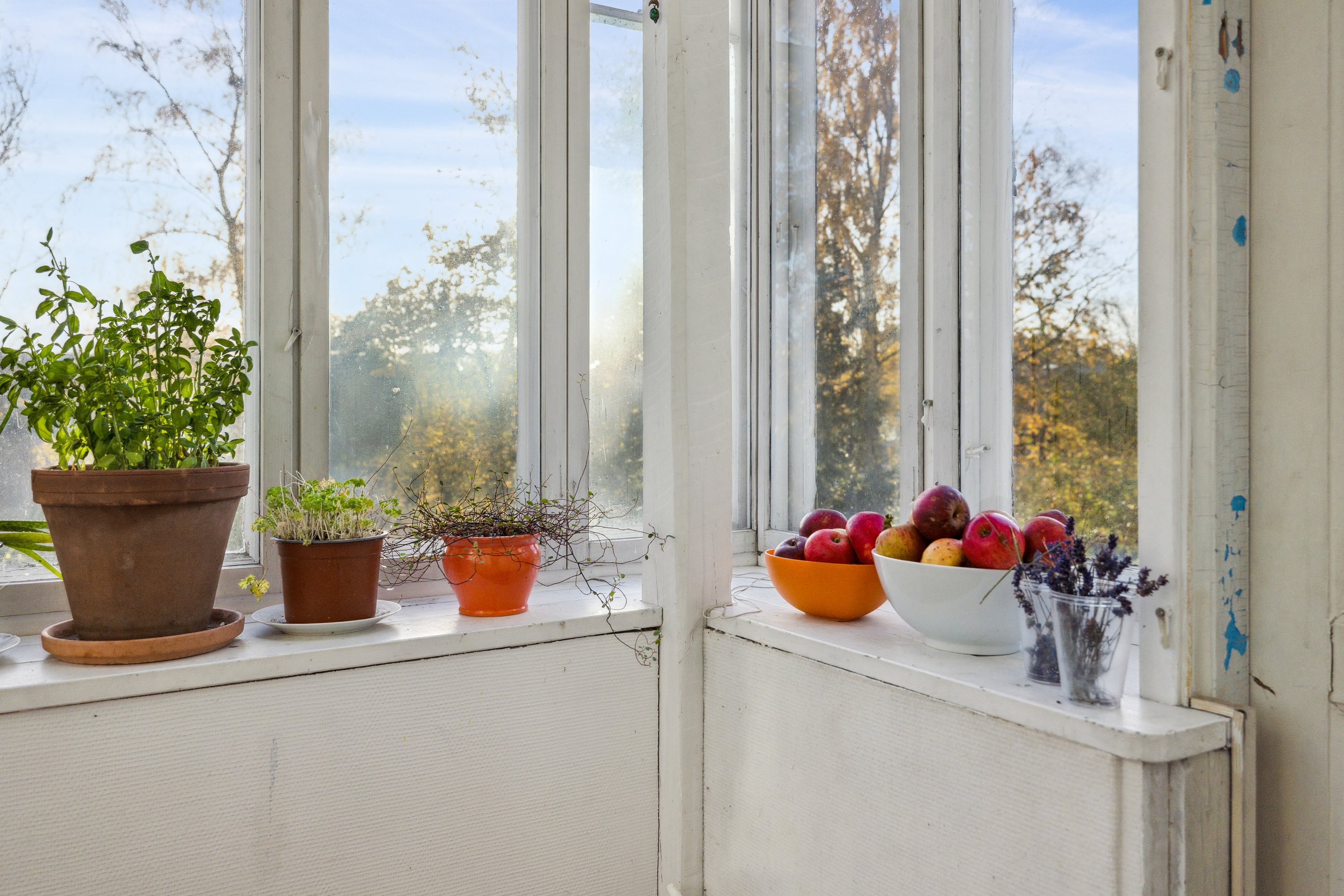 Fremhævet altan billede i fuldskærmstilstand. Billede af Sønder Alle 49, 8800 Viborg