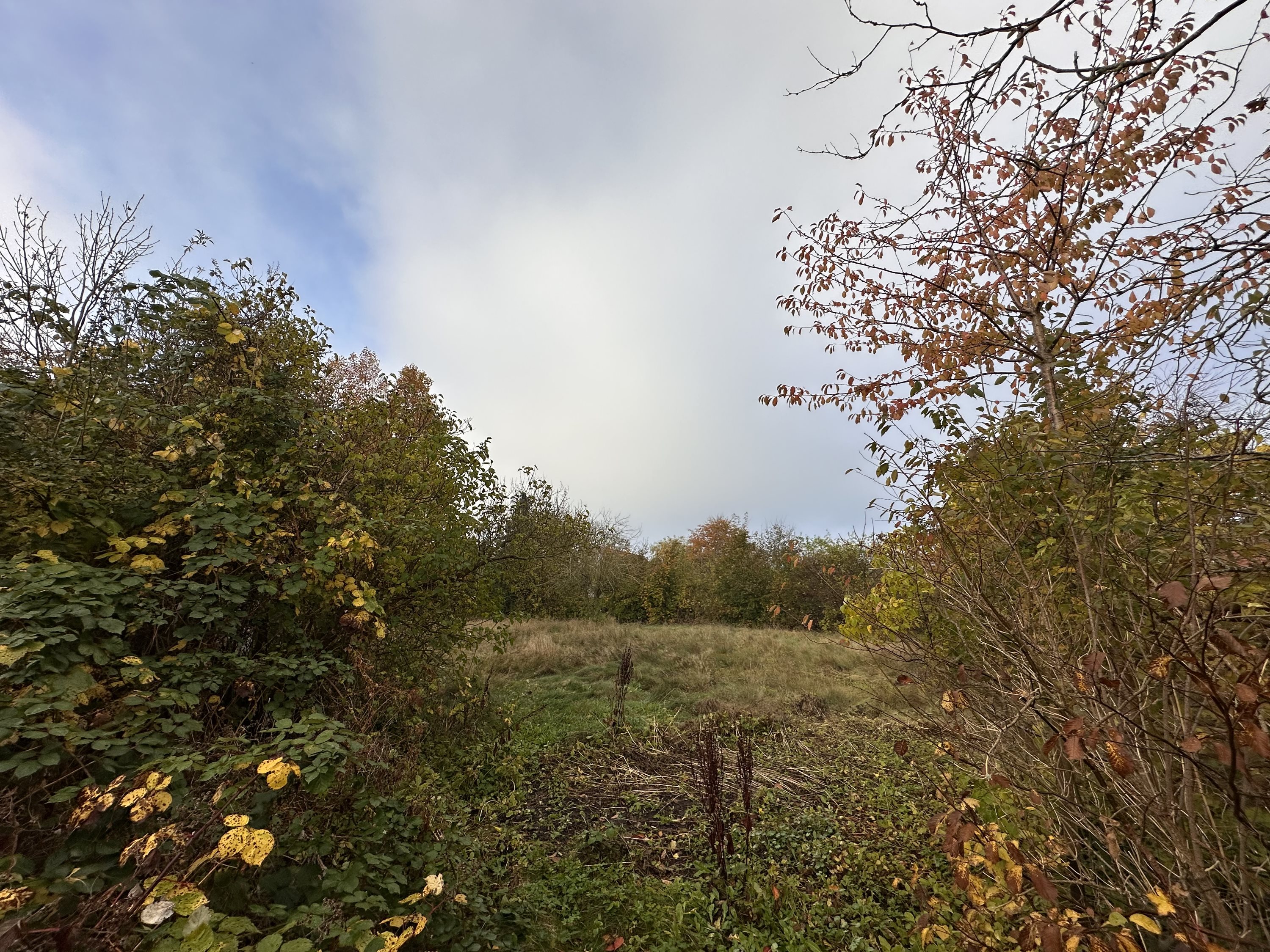 Fremhævet  billede i fuldskærmstilstand. Billede af Torslunde Bygade 8, Torslunde, 2635 Ishøj