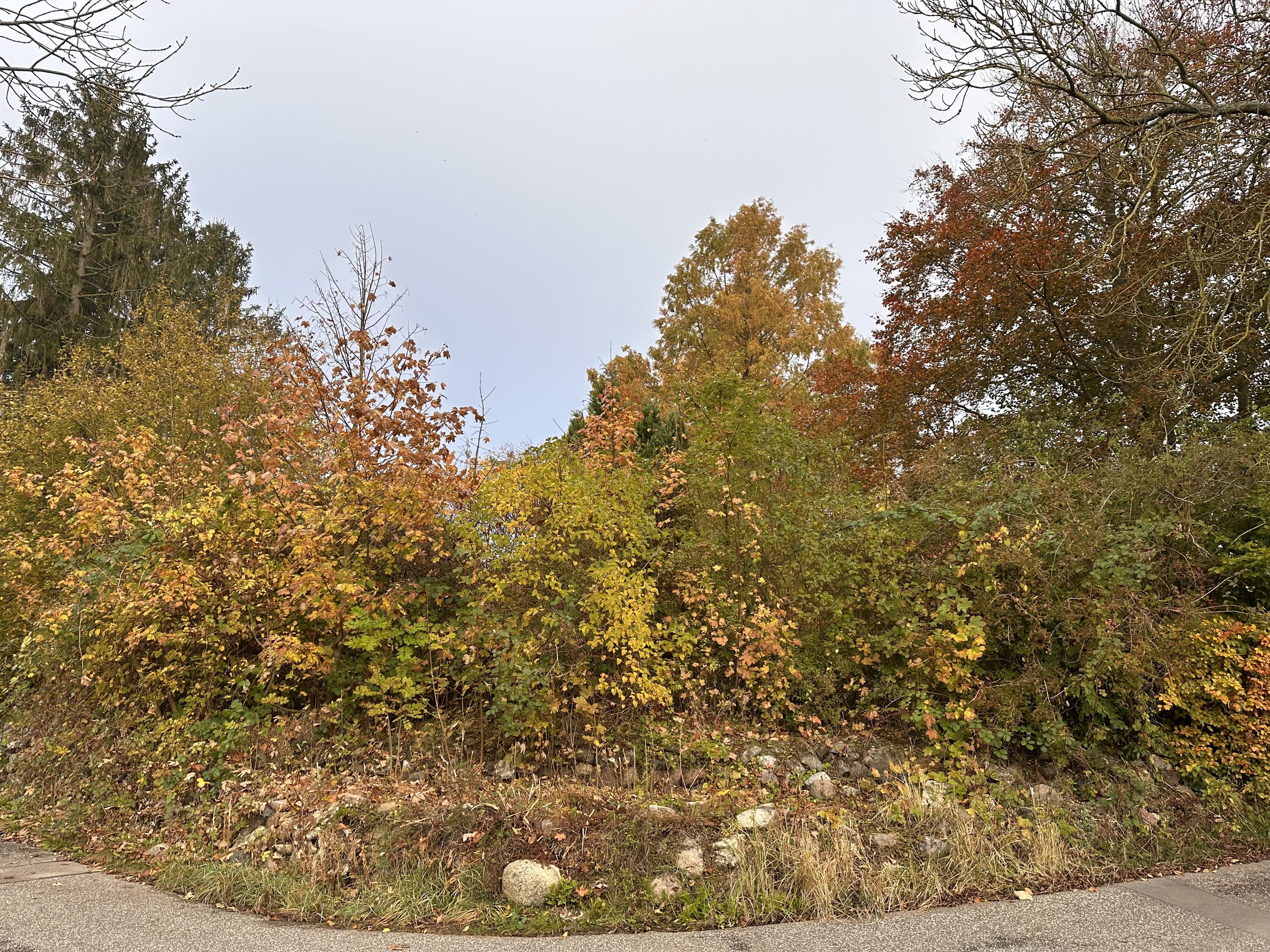 Fremhævet  billede i fuldskærmstilstand. Billede af Torslunde Bygade 8, Torslunde, 2635 Ishøj