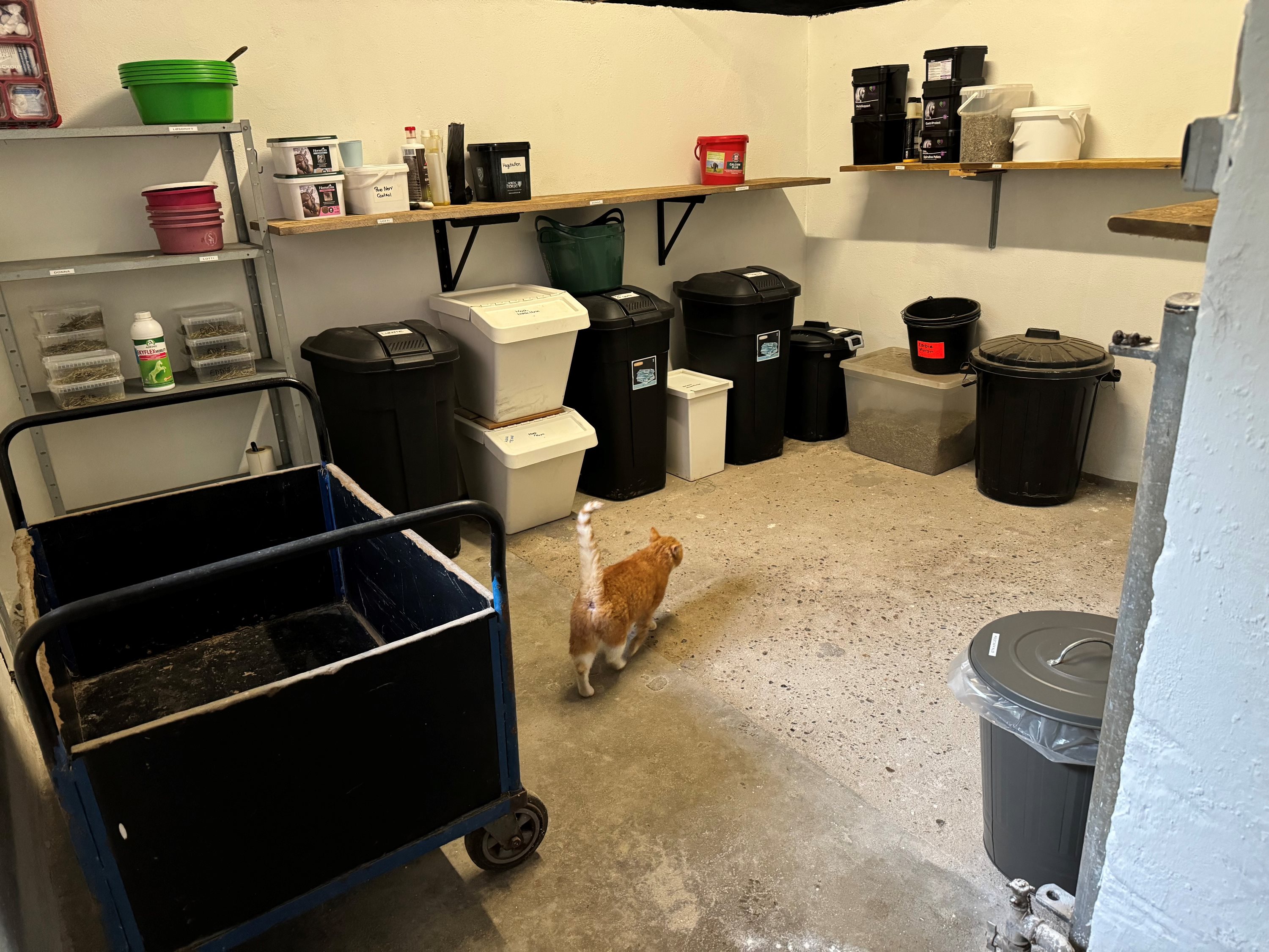 Fremhævet  billede i fuldskærmstilstand. Billede af Dåsbjergvej 48, Fly, 7800 Skive