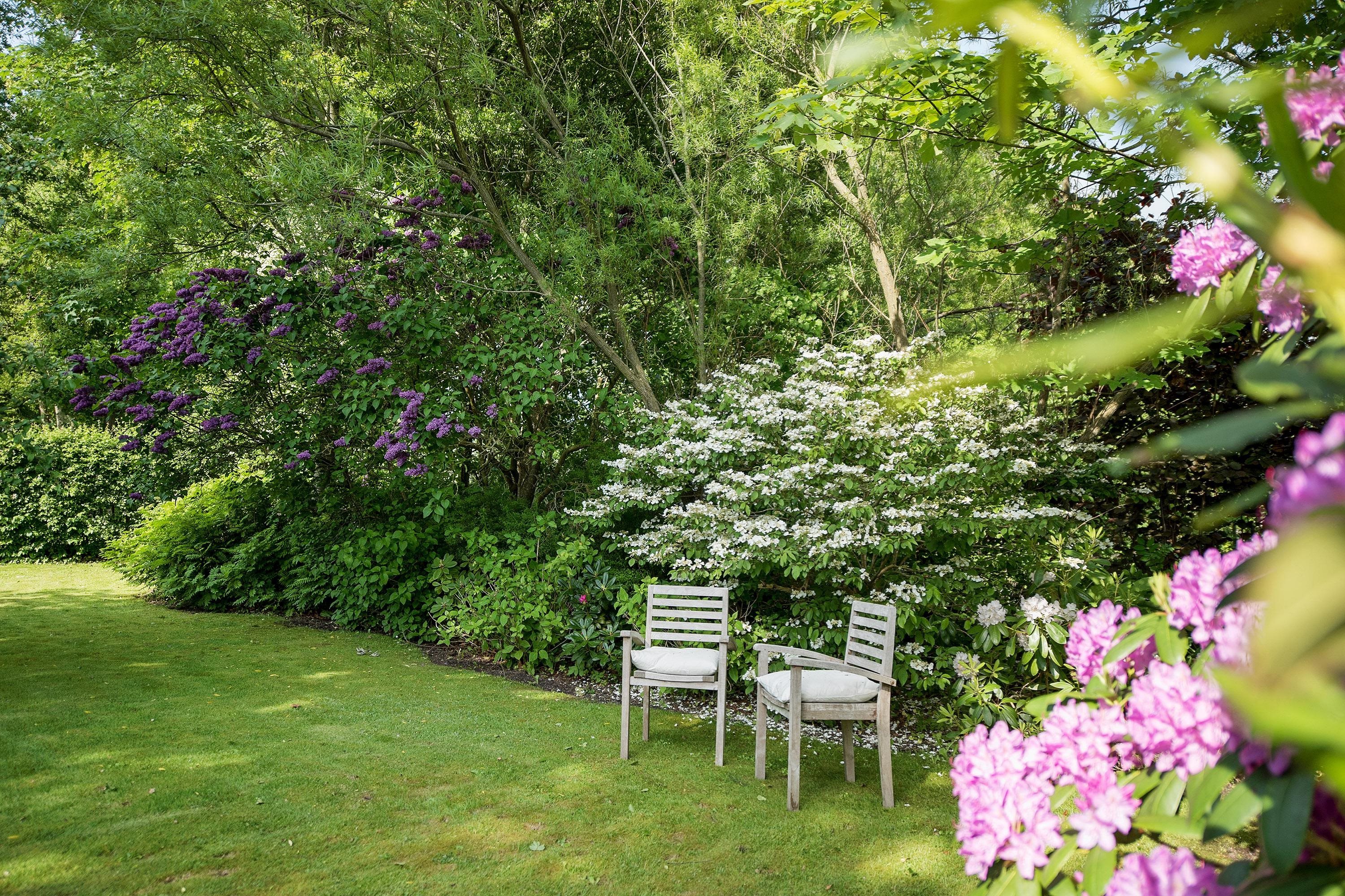 Fremhævet have billede i fuldskærmstilstand. Billede af Møllevænget 21, 9870 Sindal