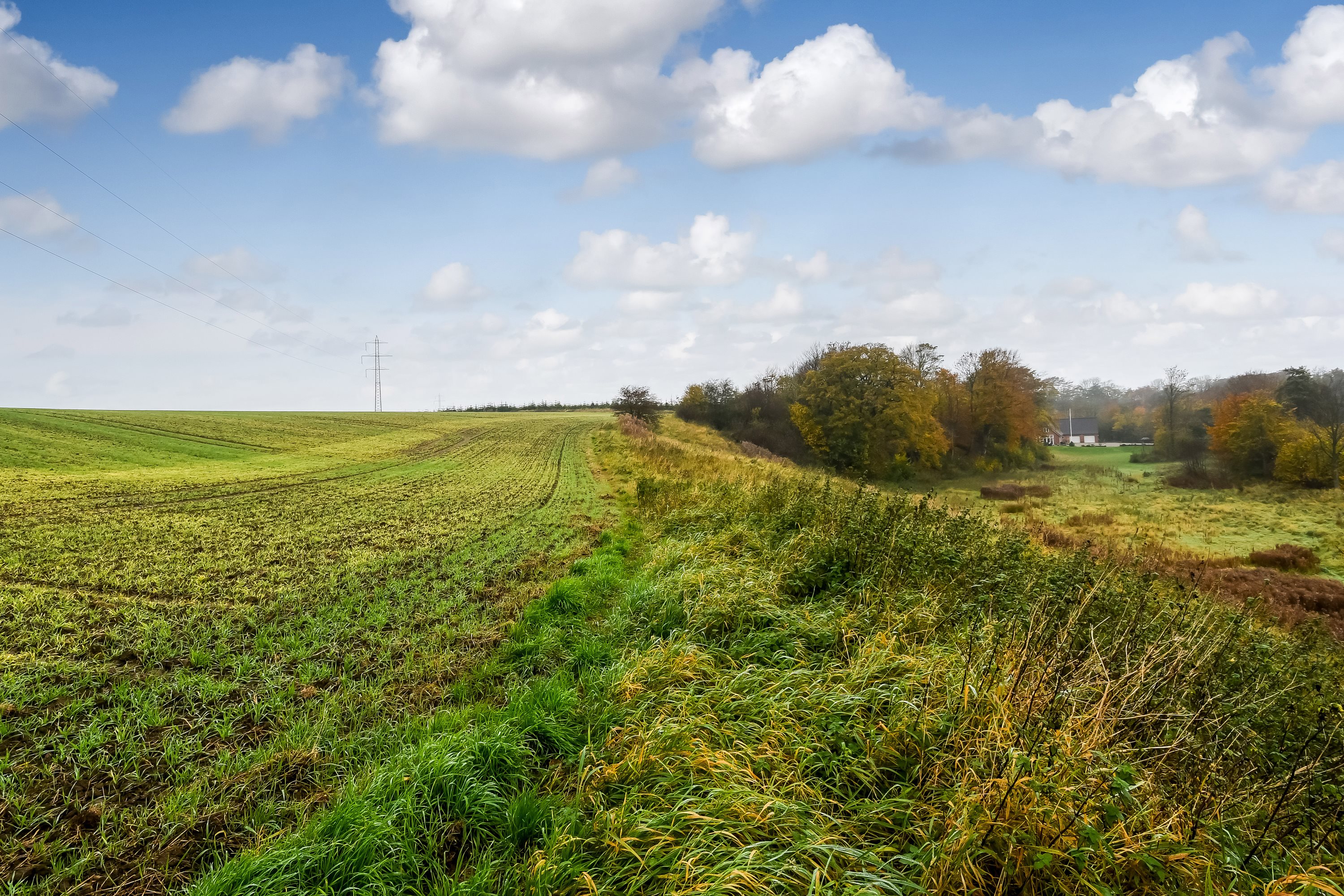 Fremhævet område billede i fuldskærmstilstand. Billede af Lindeborgvej 18, 7560 Hjerm