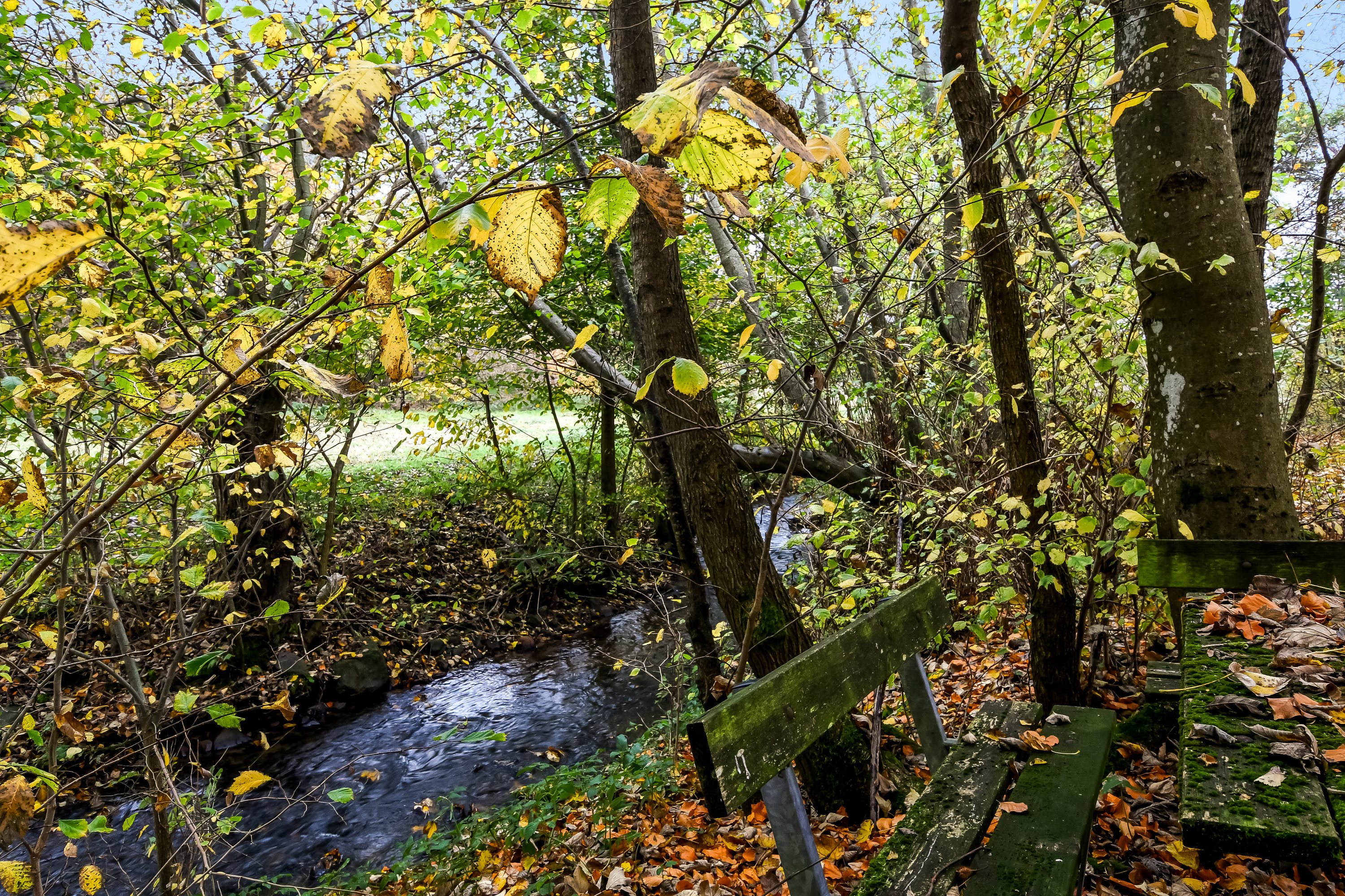 Fremhævet have billede i fuldskærmstilstand. Billede af Lindeborgvej 18, 7560 Hjerm