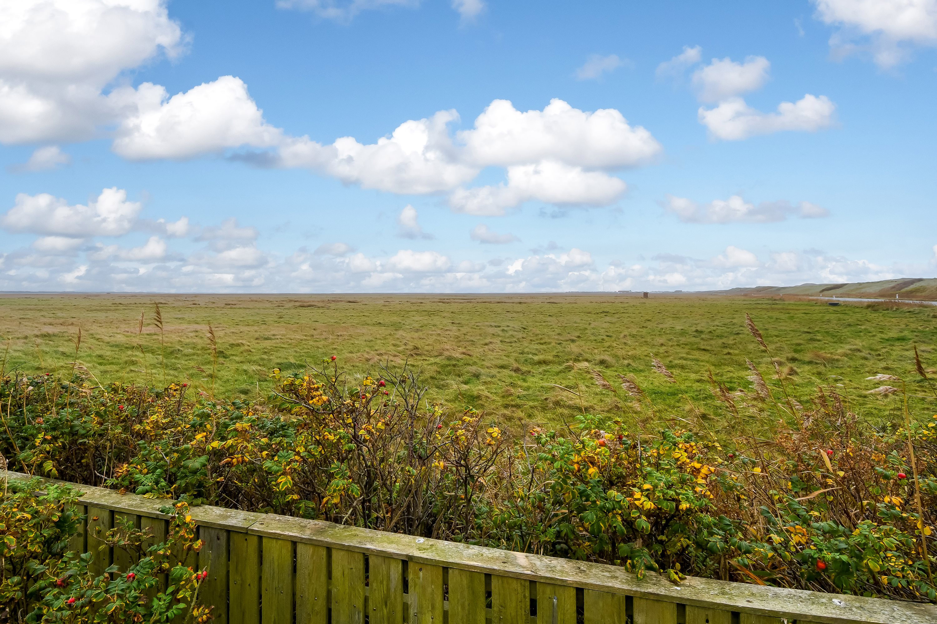 Fremhævet område billede i fuldskærmstilstand. Billede af Torsmindevej 127, Bøvling, 6990 Ulfborg