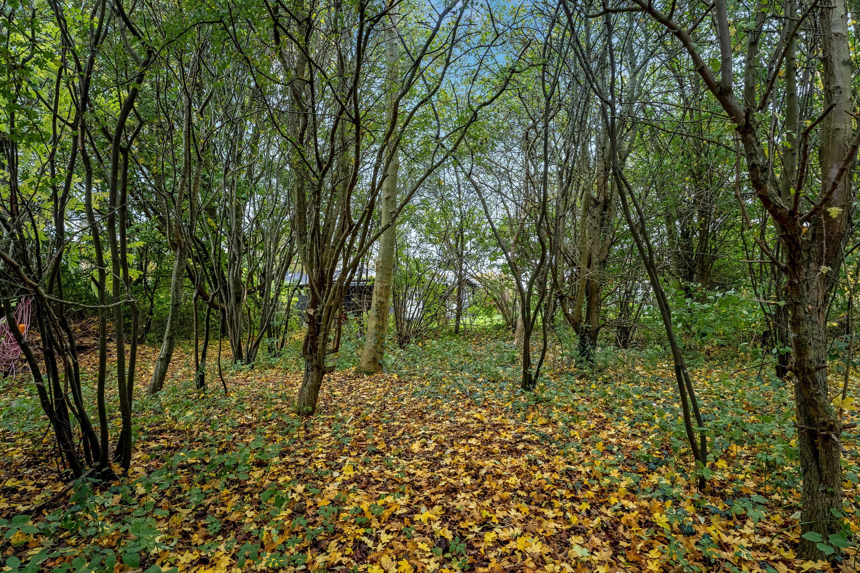 Fremhævet grund billede i fuldskærmstilstand. Billede af Askø Strandvig 237, 4942 Askø
