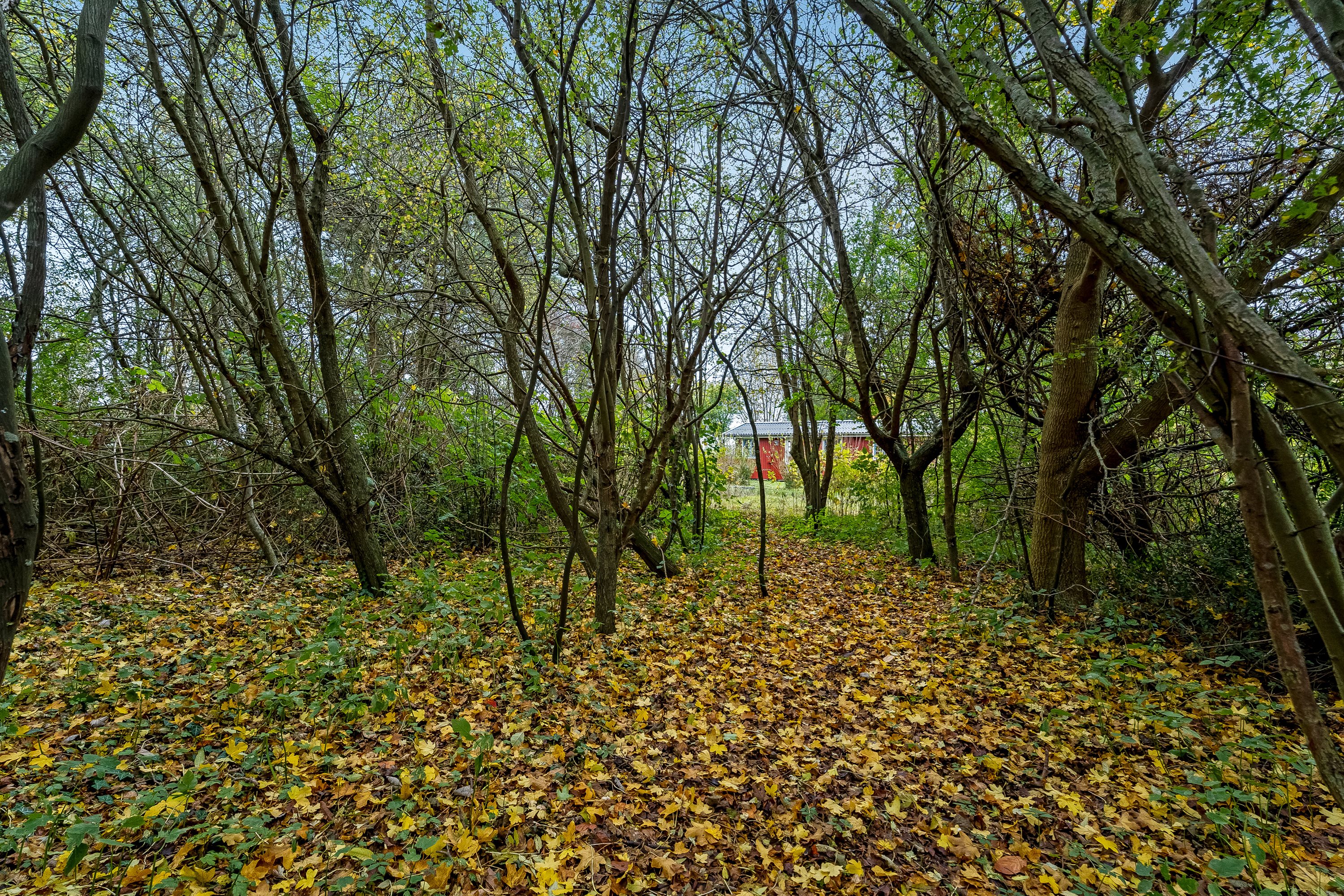 Fremhævet grund billede i fuldskærmstilstand. Billede af Askø Strandvig 237, 4942 Askø