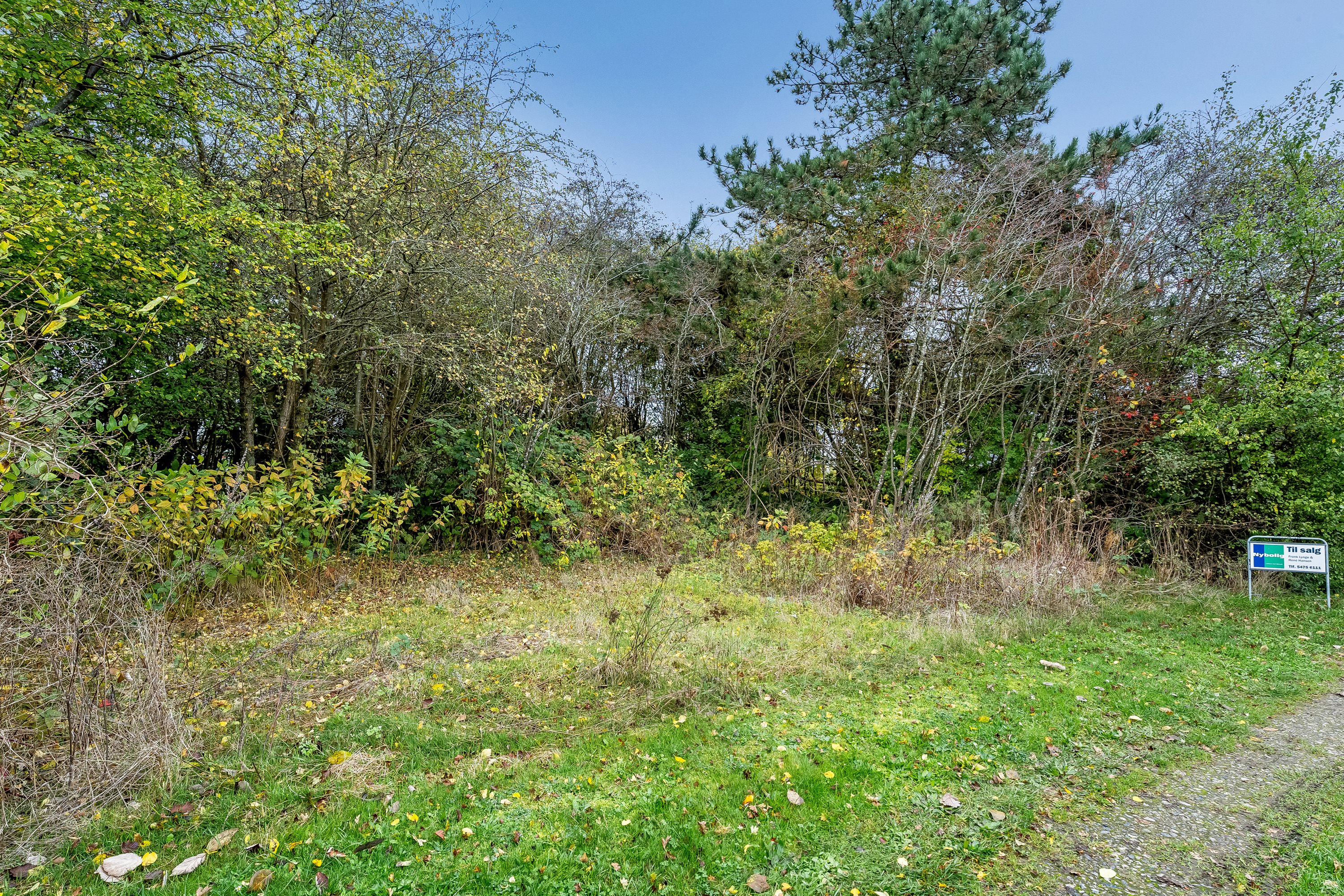 Fremhævet grund billede i fuldskærmstilstand. Billede af Askø Strandvig 237, 4942 Askø